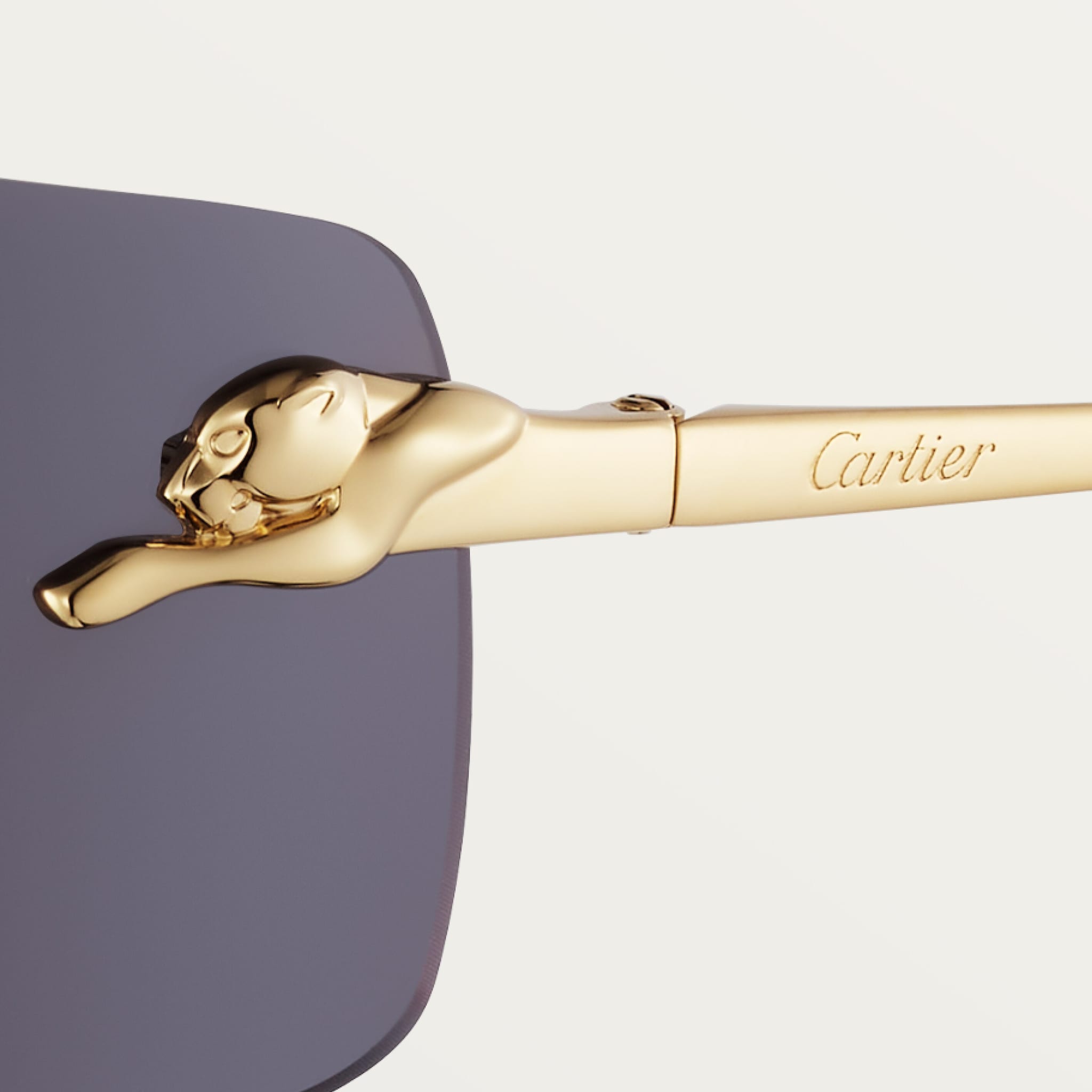 Panth&egrave;re de Cartier sunglasses, image 5