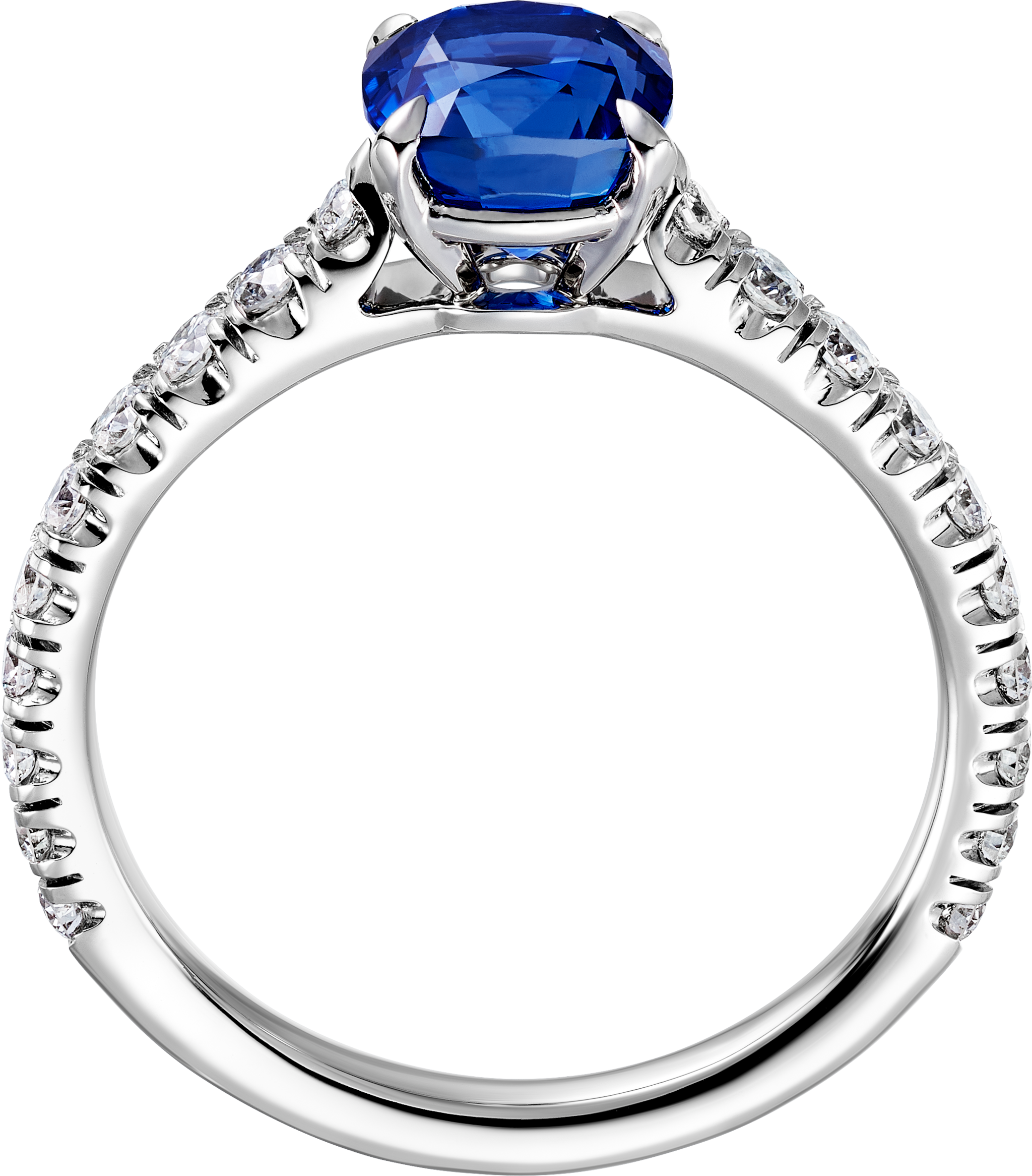 1895 solitaire, cushion-cut sapphire, paved 