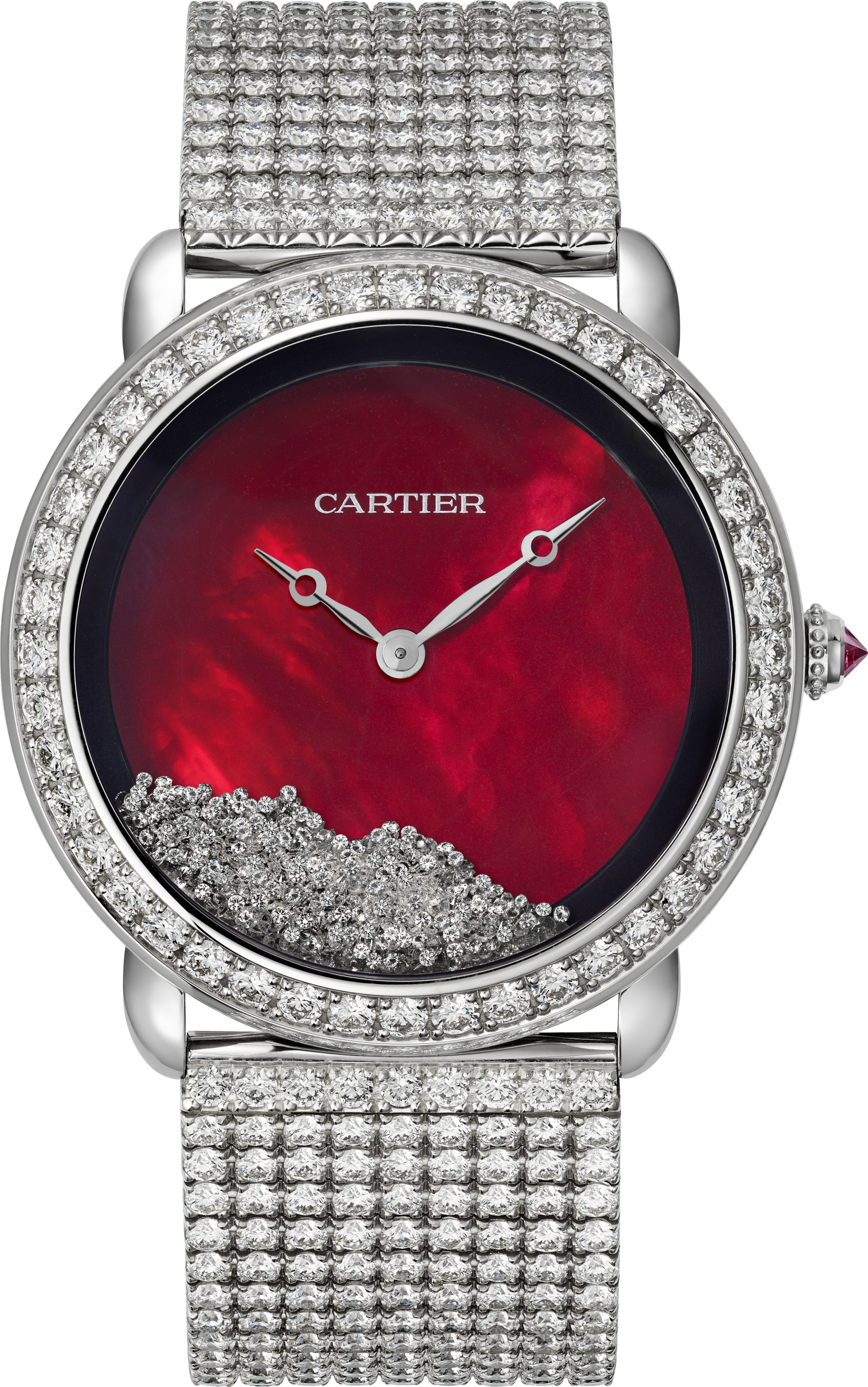 R&eacute;v&eacute;lation d'une Panth&egrave;re watch