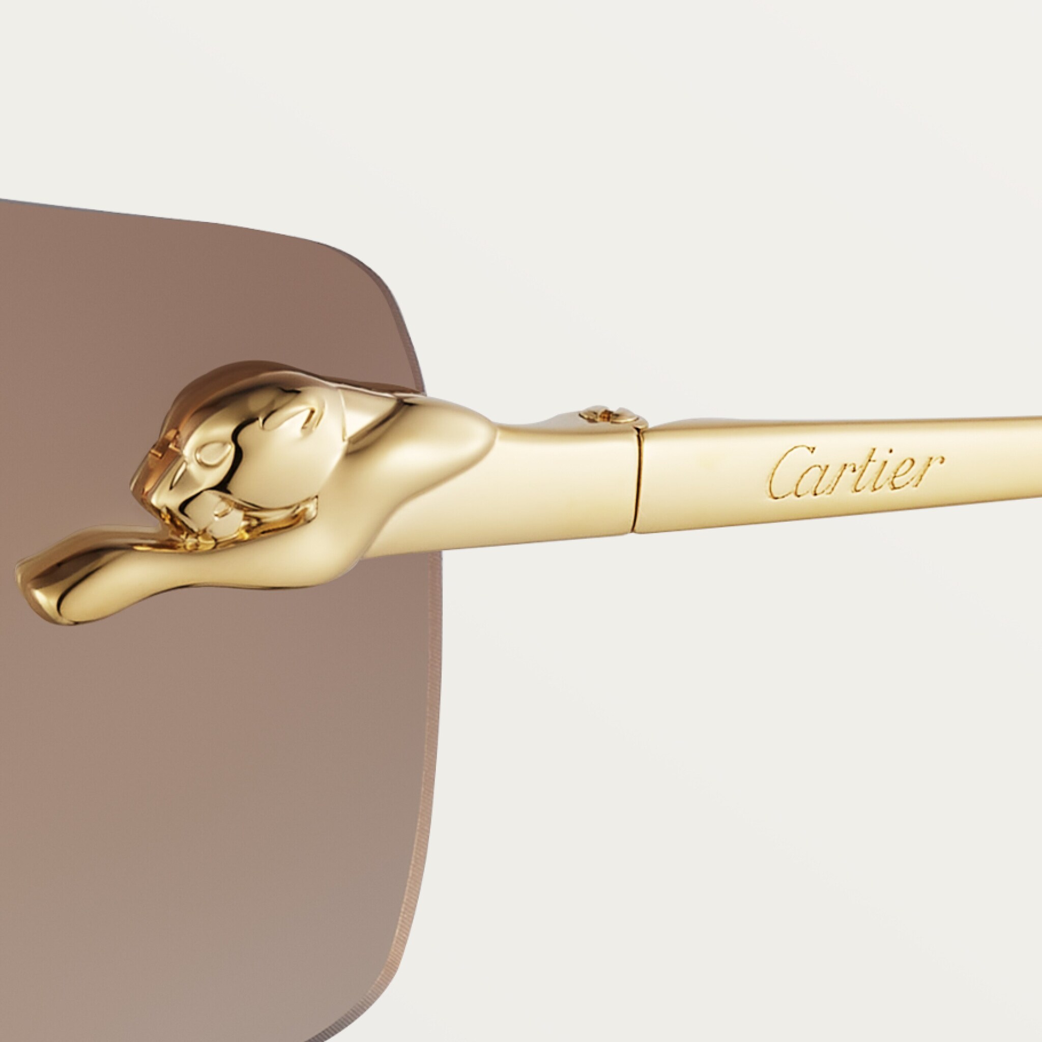 Panth&egrave;re de Cartier g&uuml;neş g&ouml;zl&uuml;ğ&uuml;, resim 6