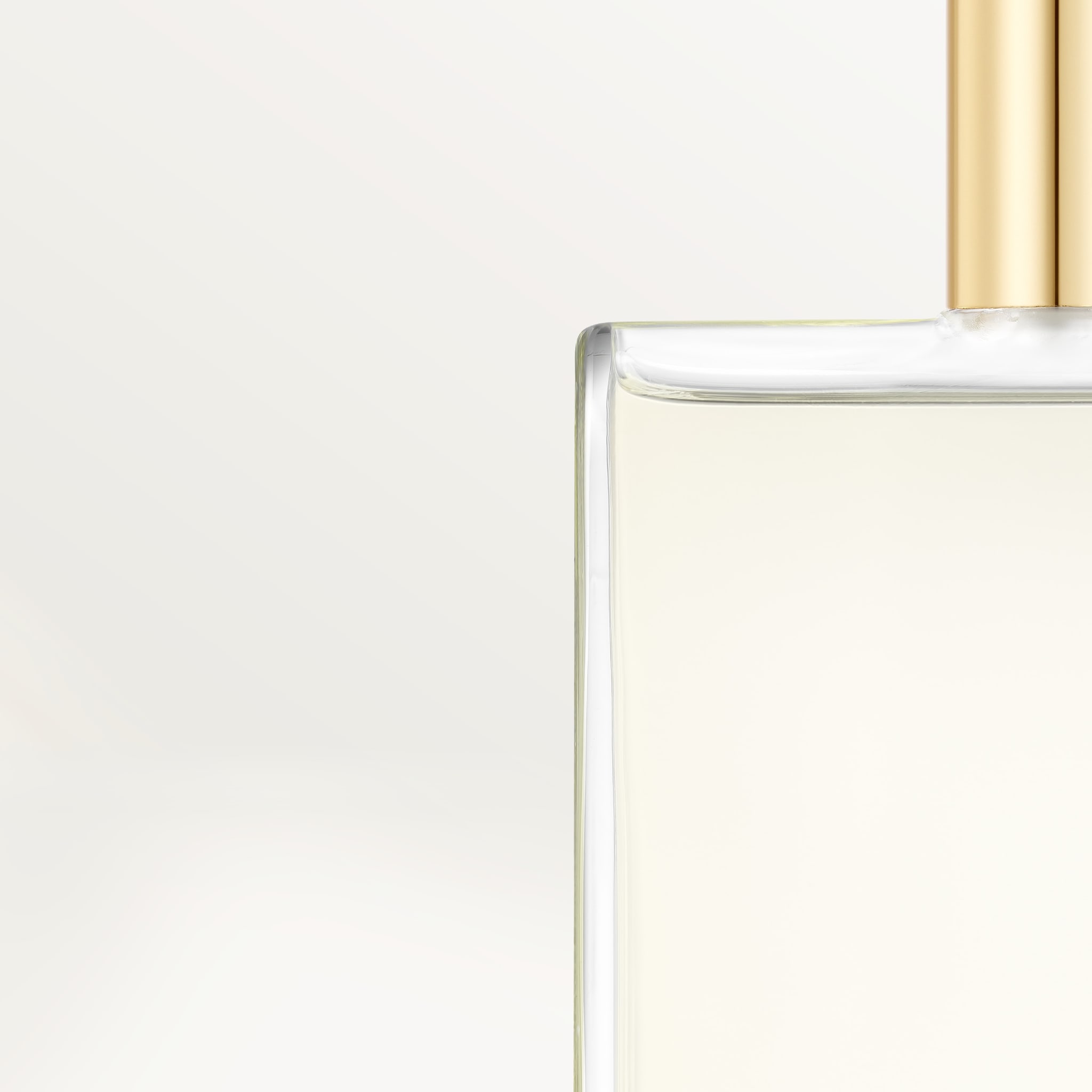 Les N&eacute;cessaires &agrave; Parfum Refills Pasha de Cartier Edition Noire