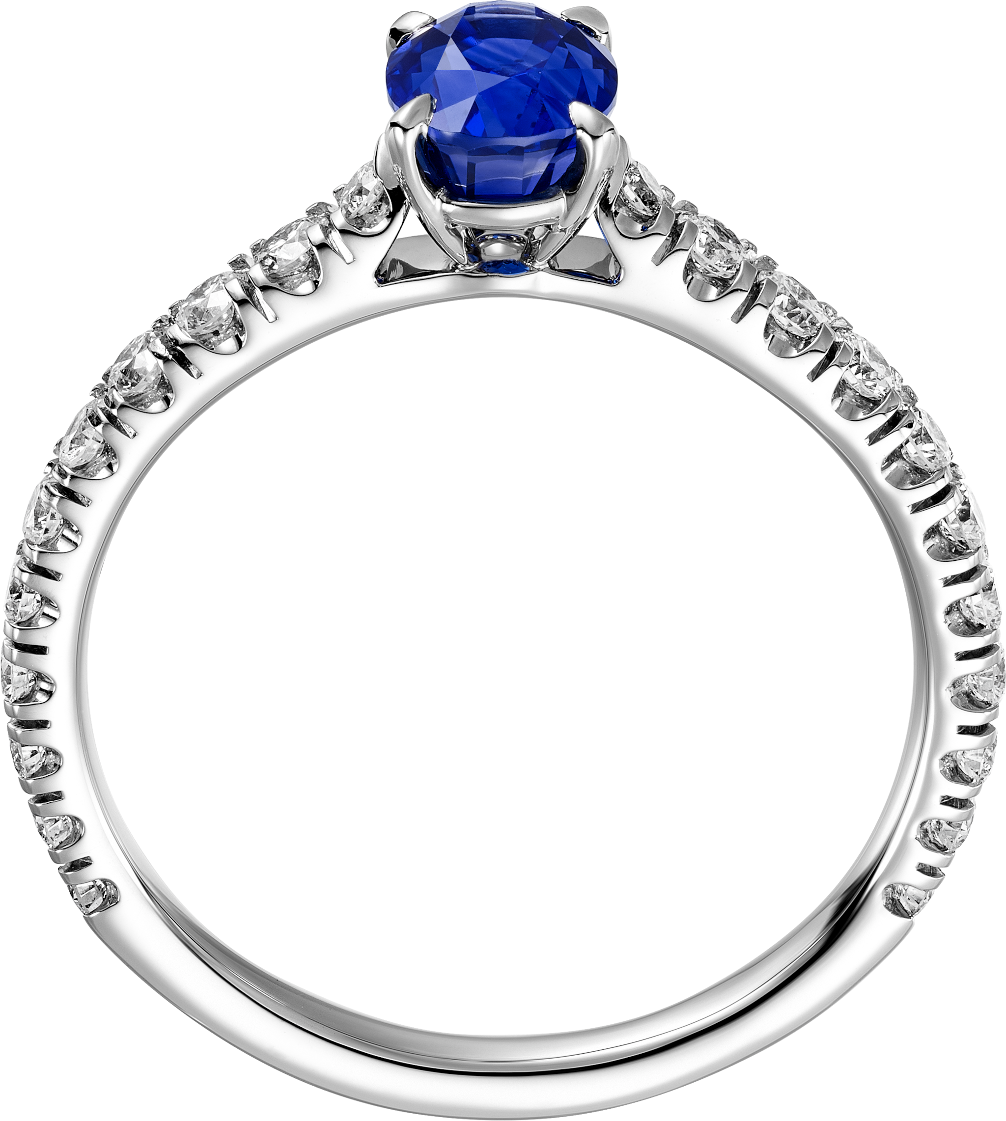 1895 solitaire, oval-cut sapphire, paved 