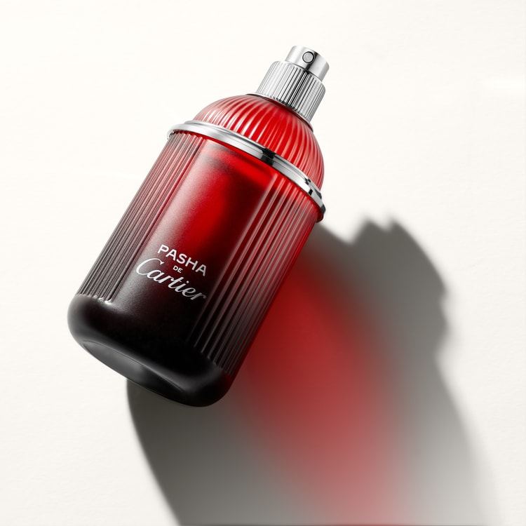 Pasha de Cartier Edition Noire Sport 100 ml