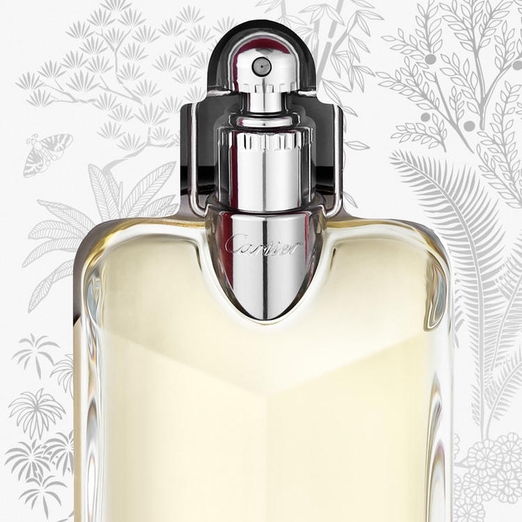 Déclaration Gift Set