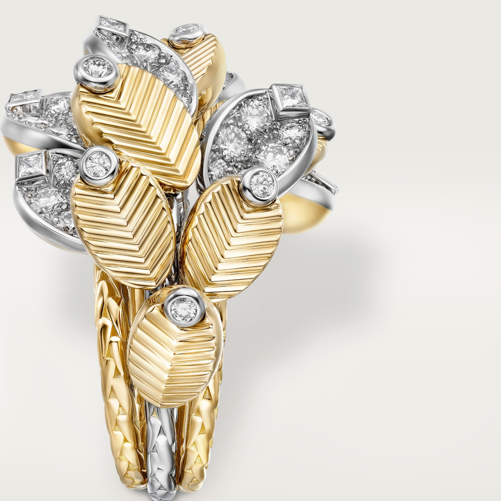 Grain de Caf&eacute; ring, semi-paved, image 6