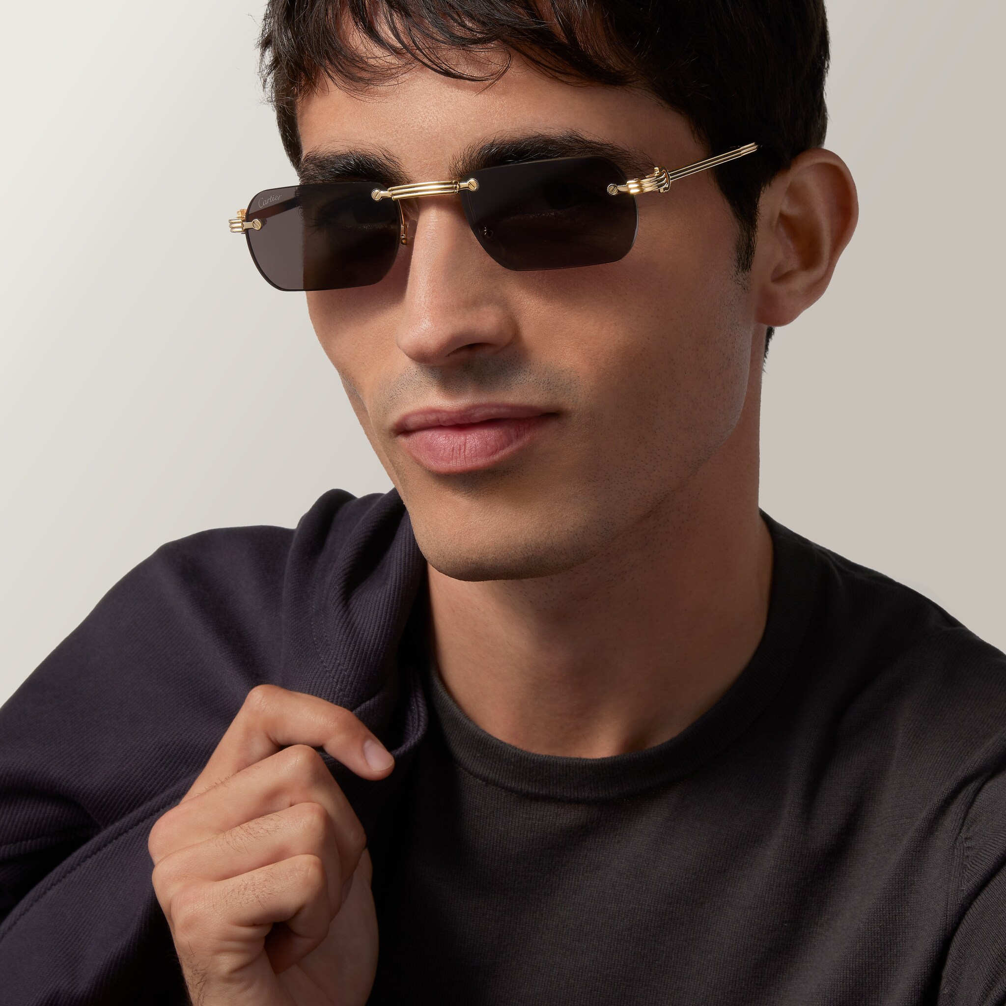 Cartier フォトフレーム カルティエ Cartier パンサー パンテール フォトフレーム シルバー