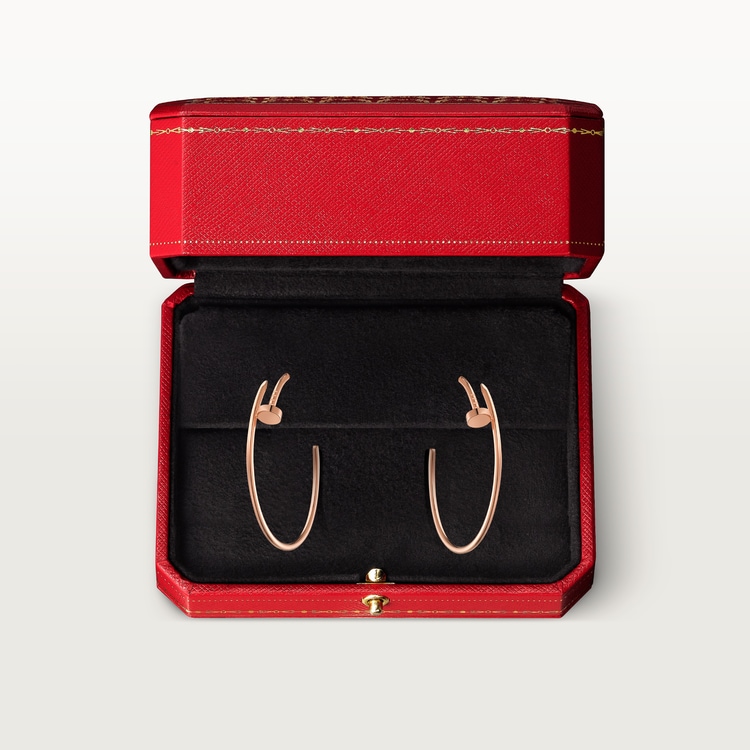 Juste en 2025 clou earrings