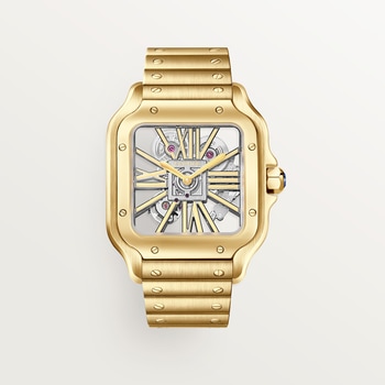 Santos de Cartier watch