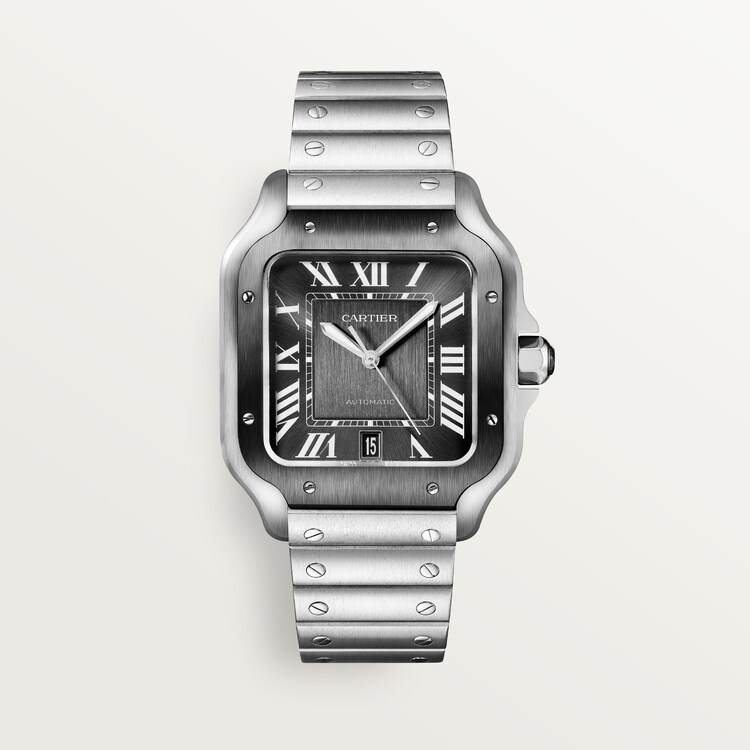 Santos cartier discount