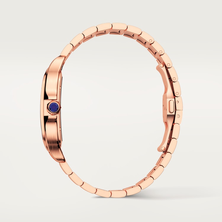 Santos de Cartier watch