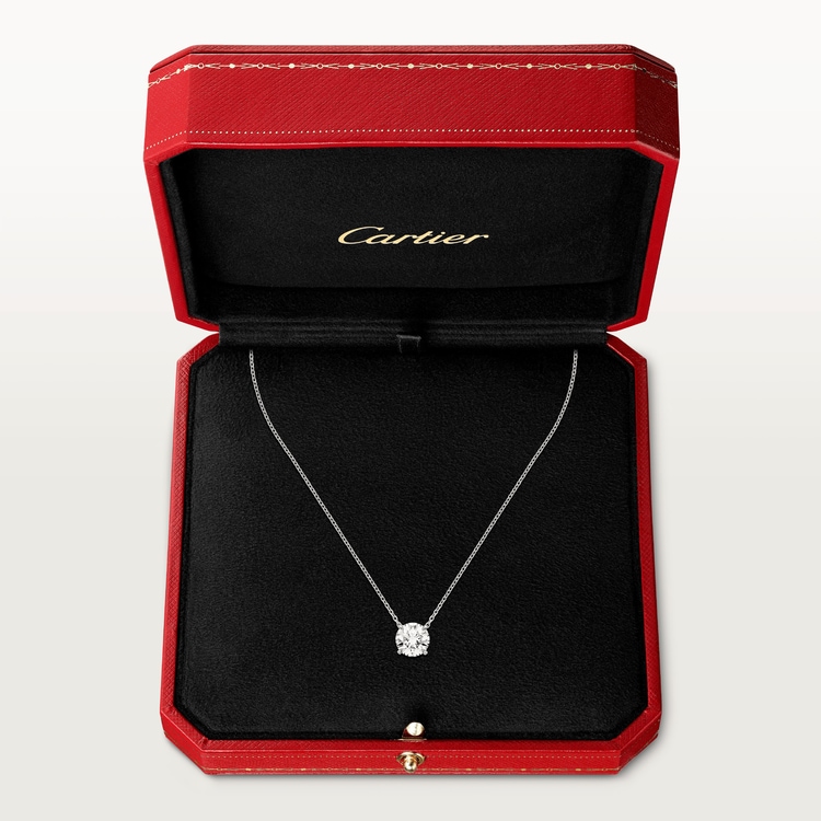 1895 necklace