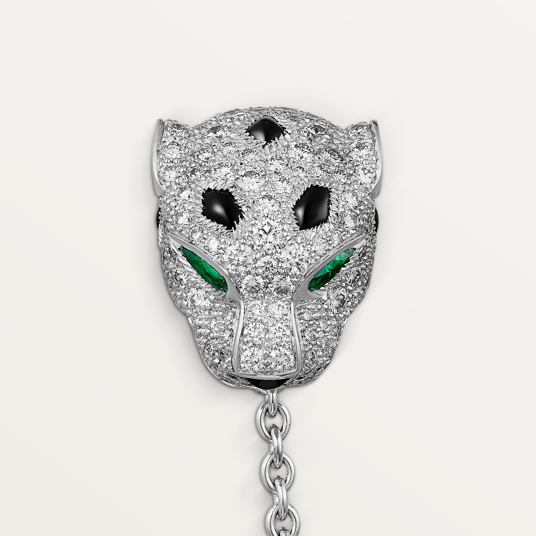 Panth&egrave;re de Cartier masculine elegance accessories