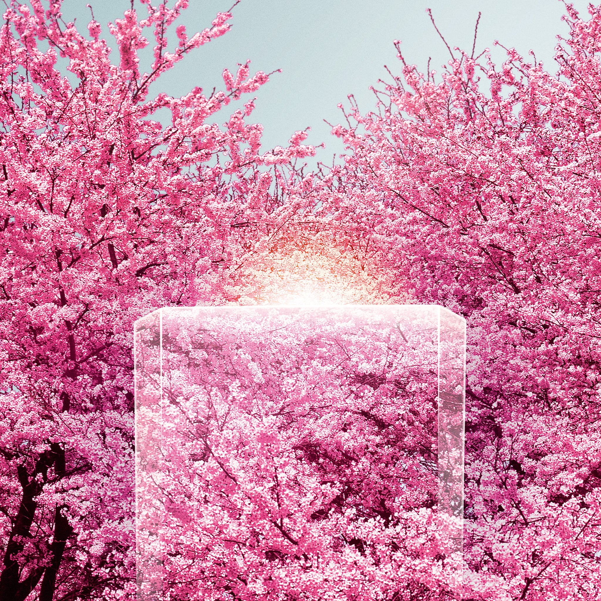 레 제크랭 퍼퓸 까르띠에 페탈, 이미지 7