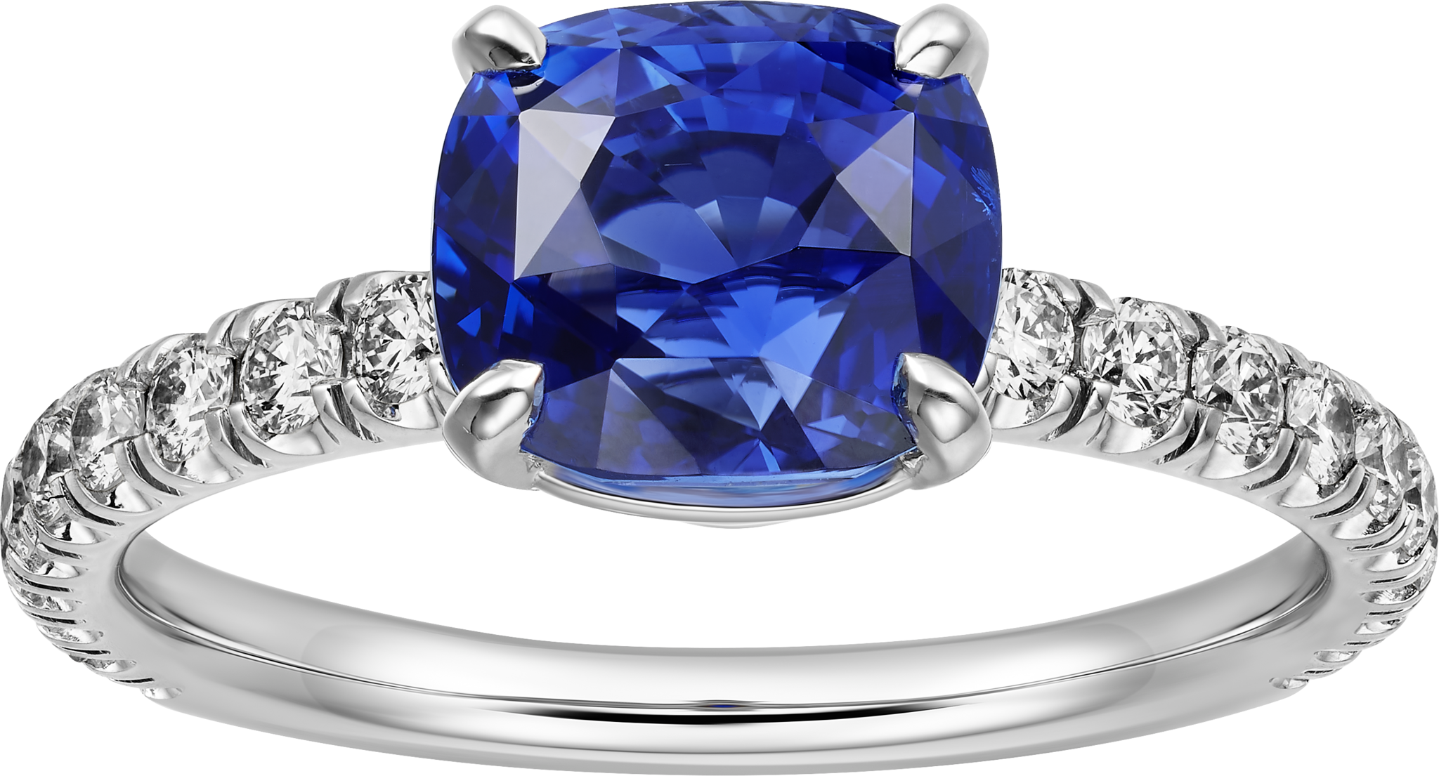 1895 solitaire, cushion-cut sapphire, paved 