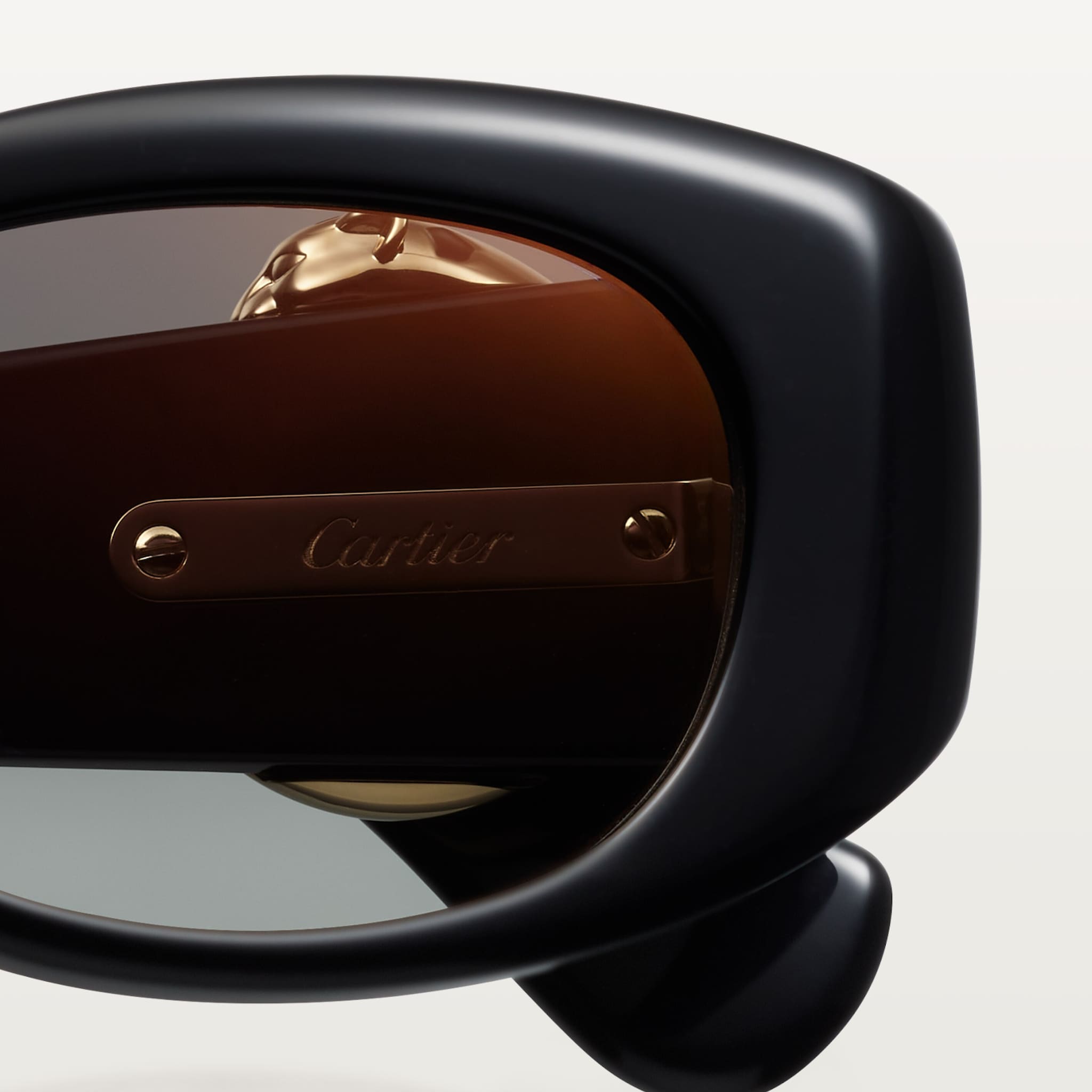 Panth&egrave;re de Cartier g&uuml;neş g&ouml;zl&uuml;ğ&uuml;, resim 6