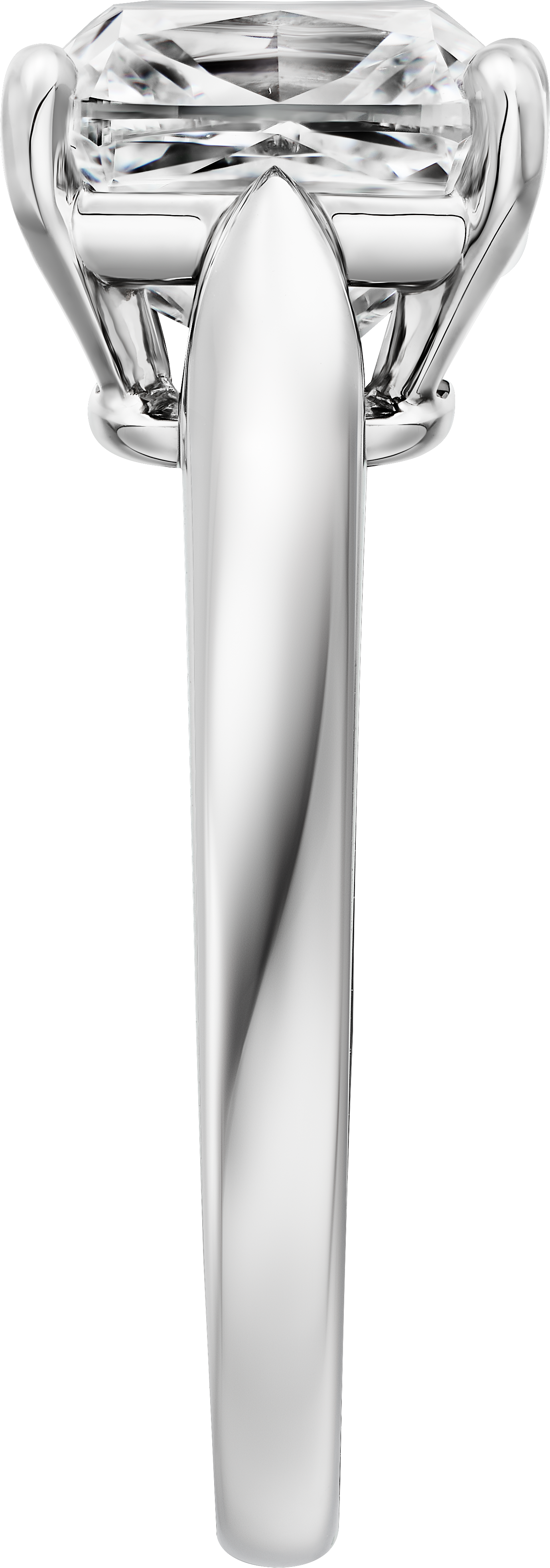 하이 주얼리 링, 이미지 10