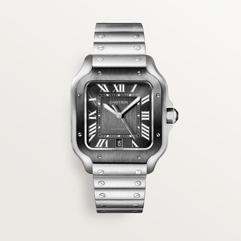 Price of 2025 cartier watch