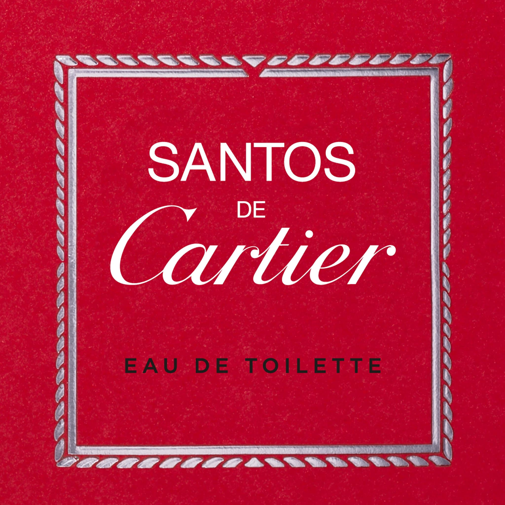 Santos de Cartier, image 5