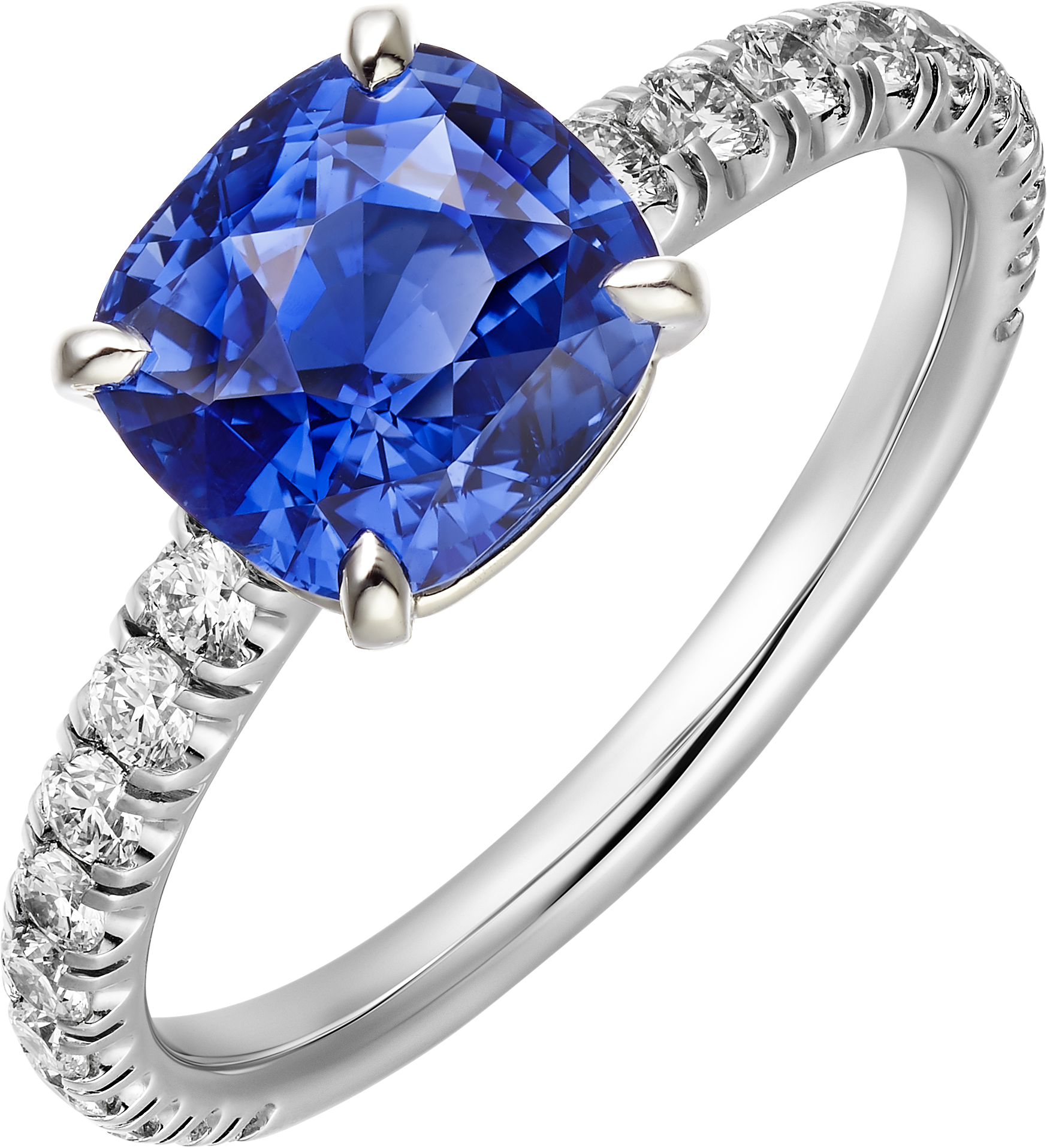 1895 solitaire, cushion-cut sapphire, paved 