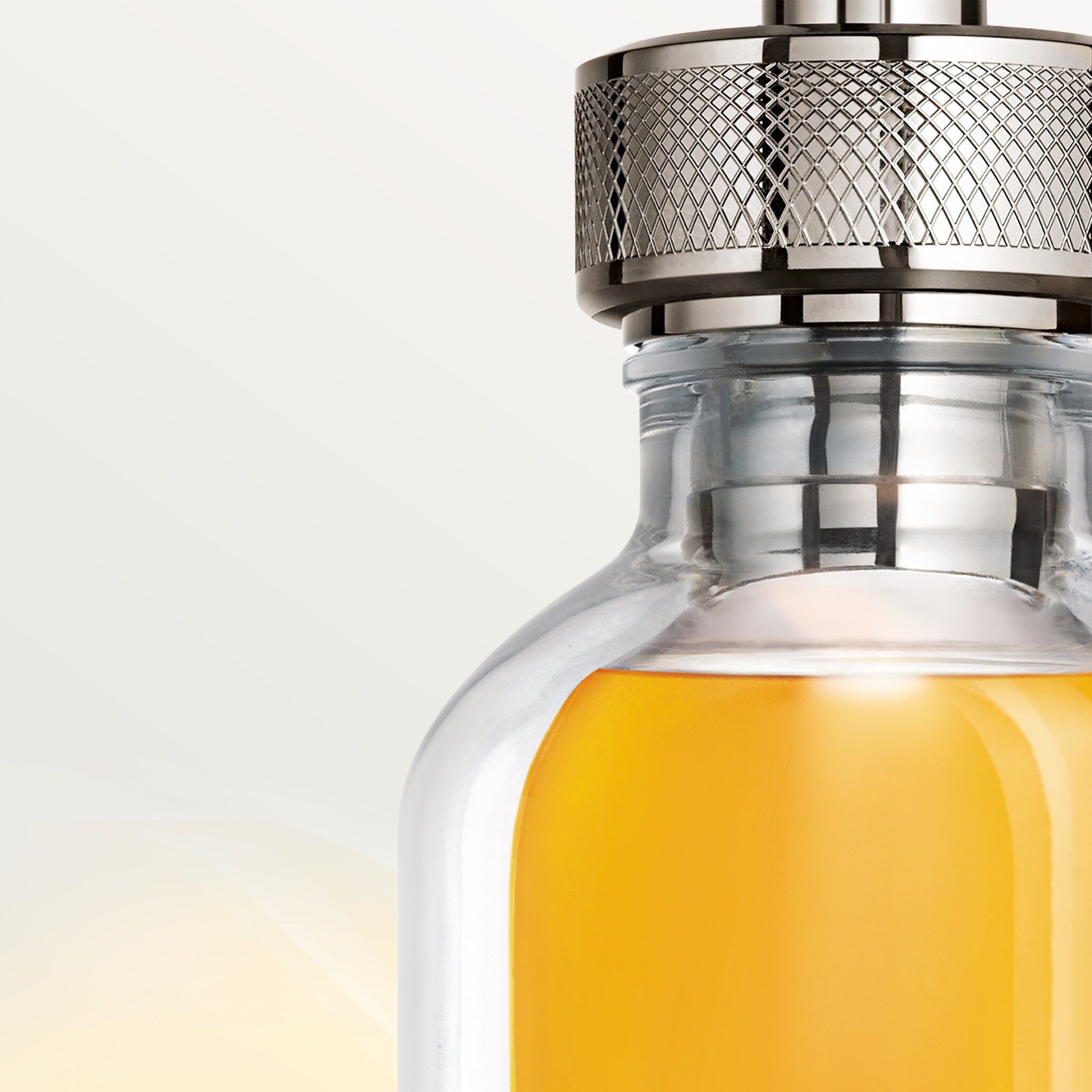 L'Envol de Cartier, image 2