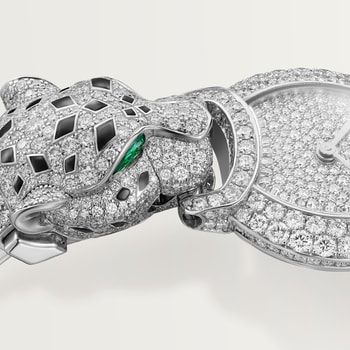 Indomptables de Cartier Watch Indomptables de Cartier Watch