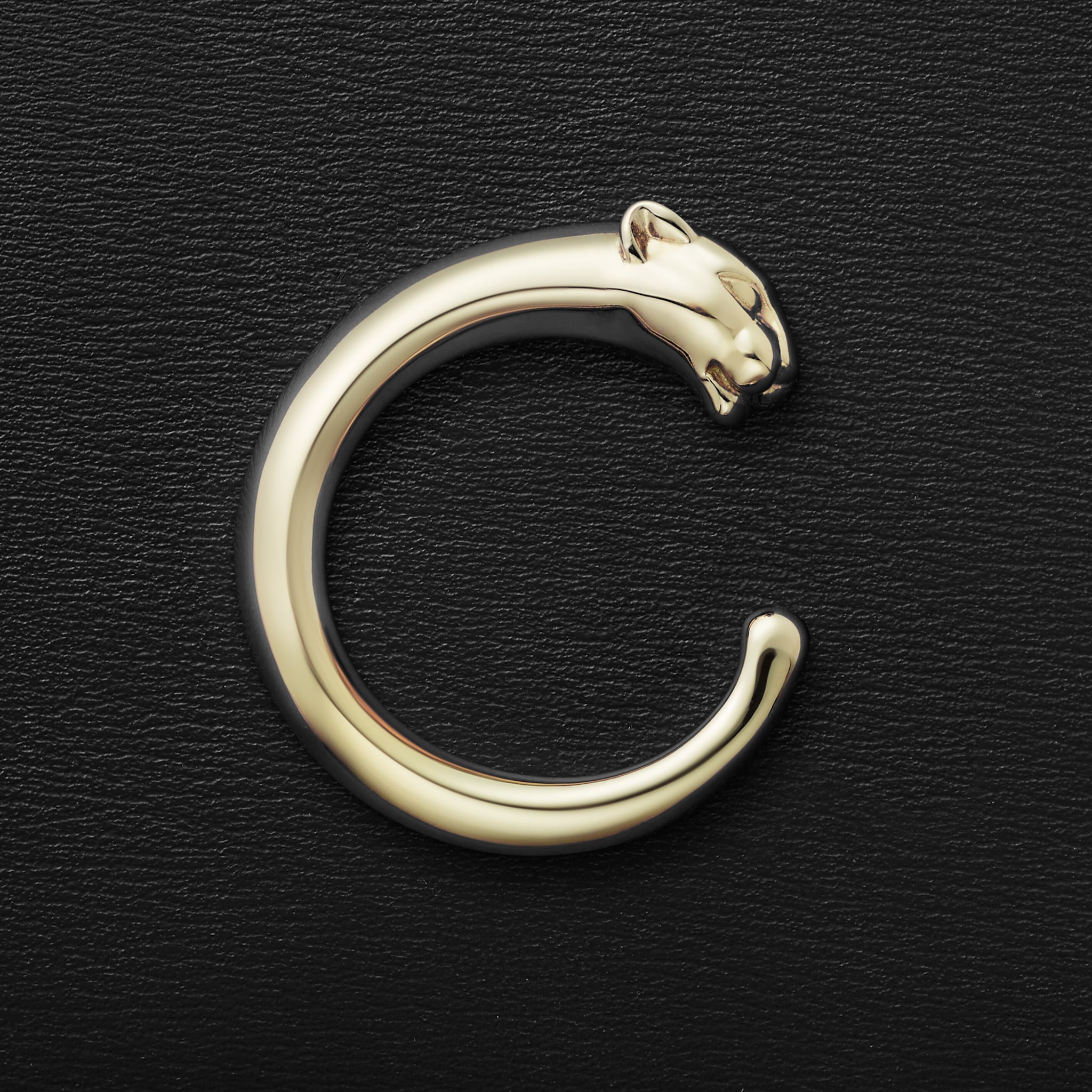 Card holder, Panth&egrave;re C, image 5