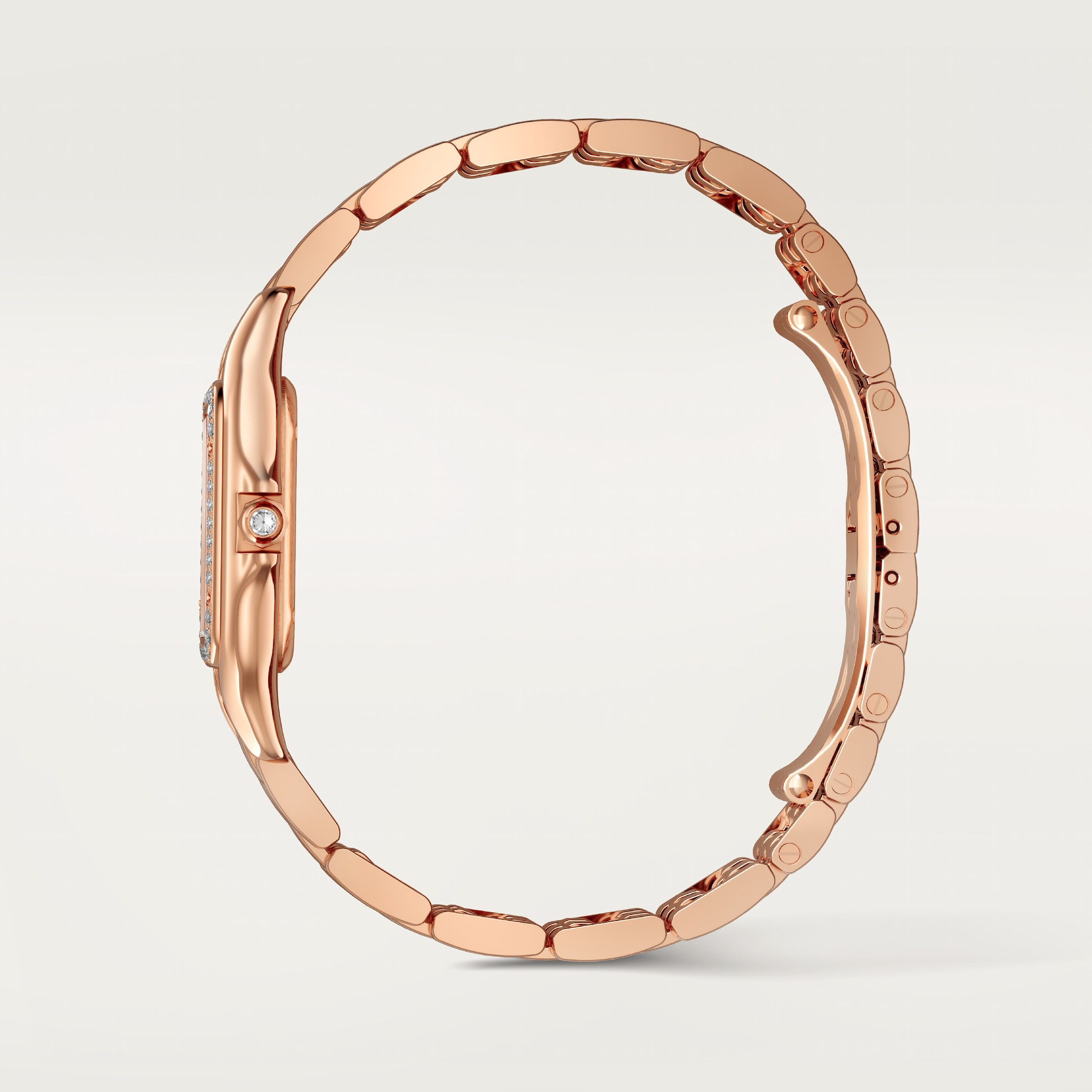 Panth&egrave;re de Cartier watch