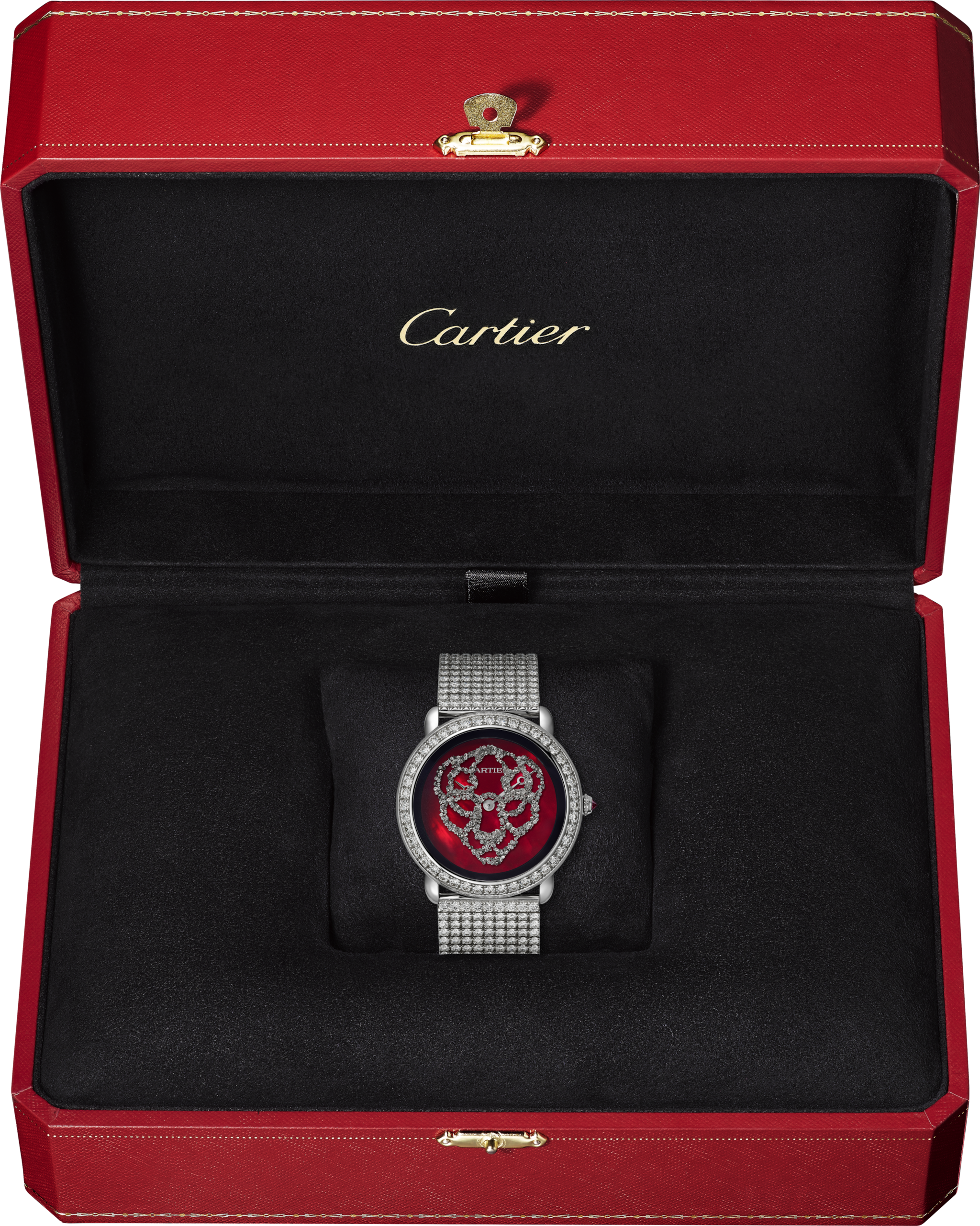 R&eacute;v&eacute;lation d'une Panth&egrave;re watch