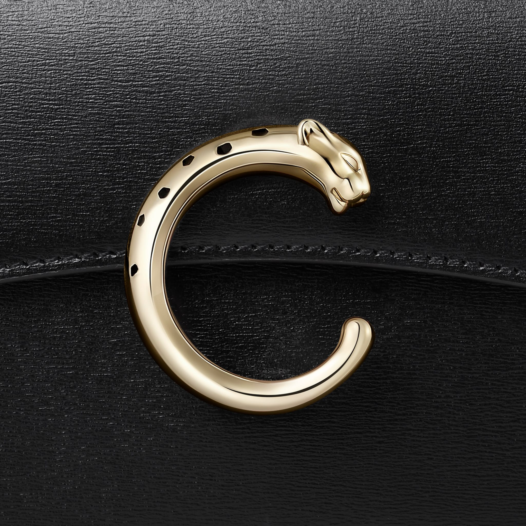 Nano bag, Panth&egrave;re C