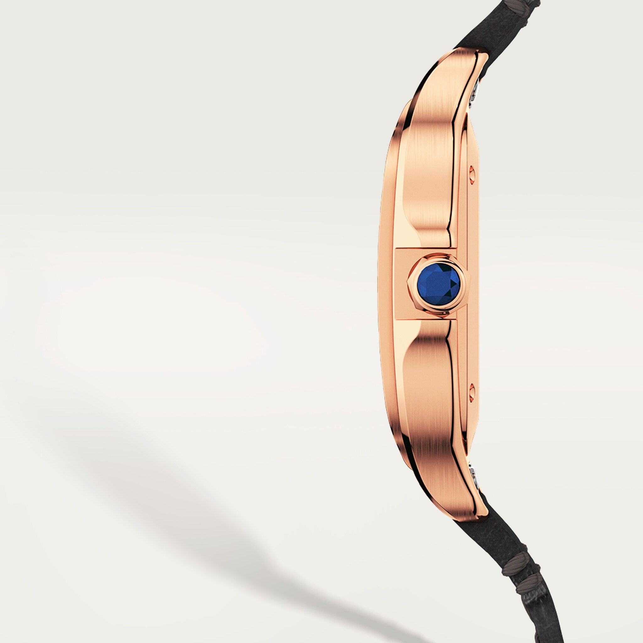 Santos de Cartier saat