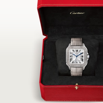 Santos de Cartier watch Santos de Cartier watch