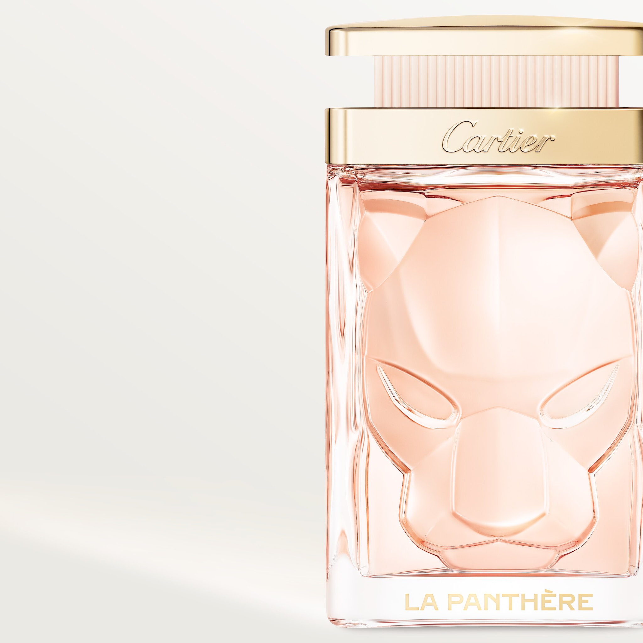 La Panth&egrave;re(라 팬더)