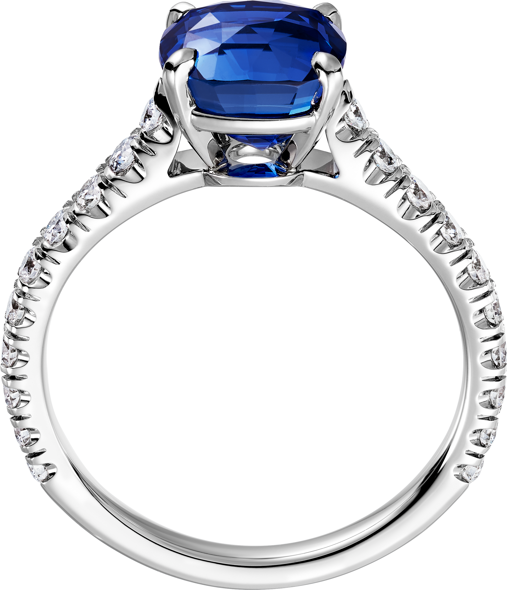 1895 solitaire, cushion-cut sapphire, paved 