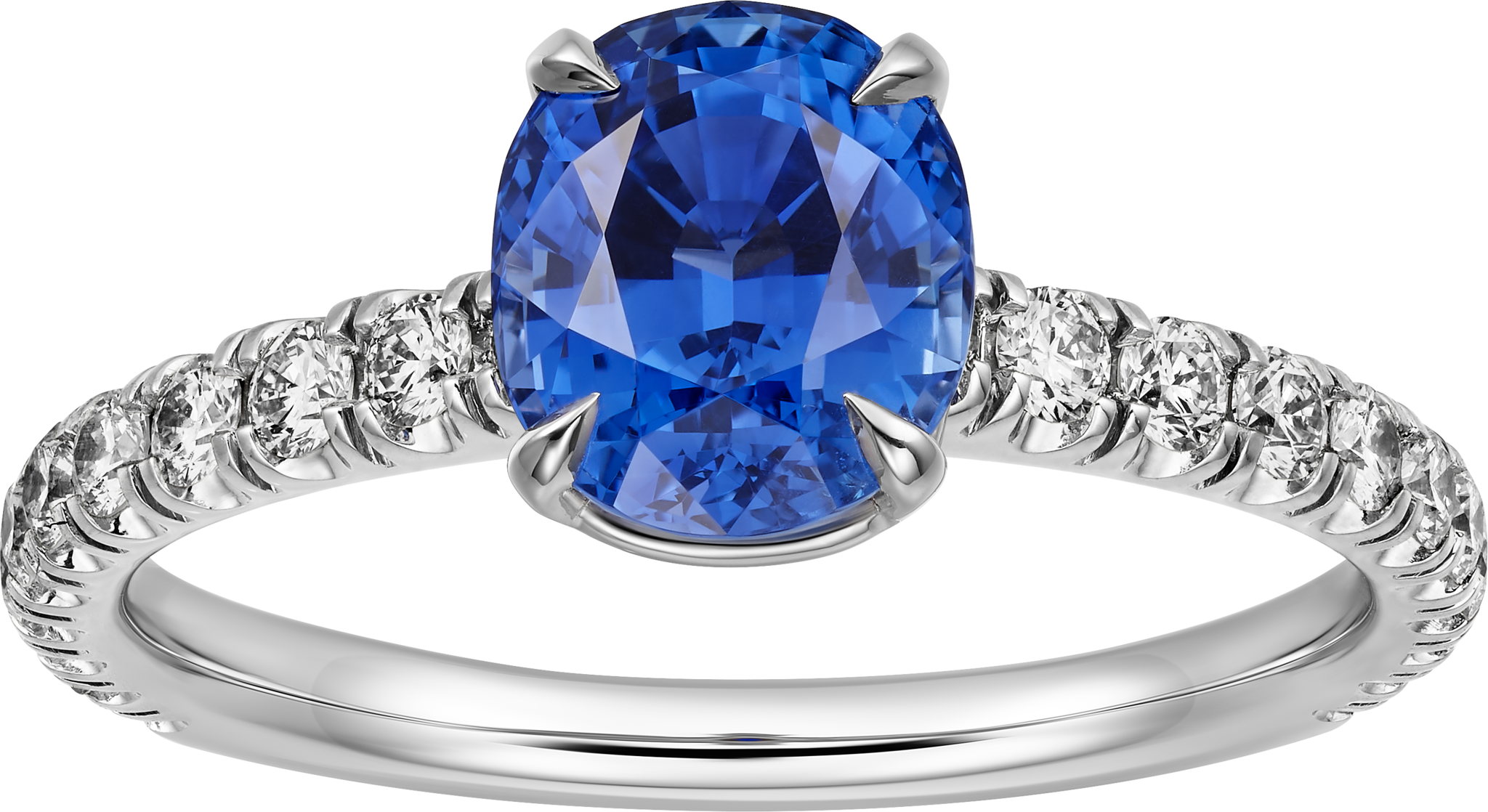 1895 solitaire, oval-cut sapphire, paved 