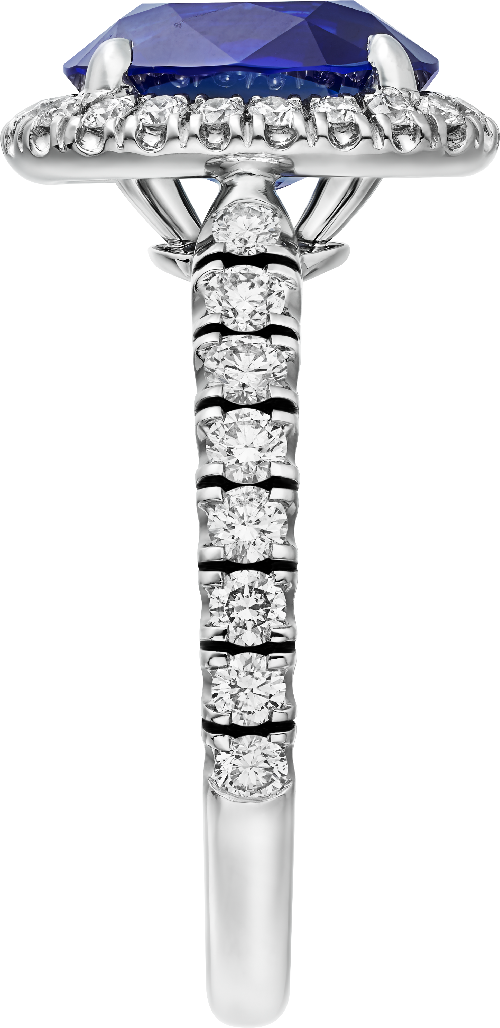 Cartier Destin&eacute;e solitaire, oval-cut sapphire, paved , image 5