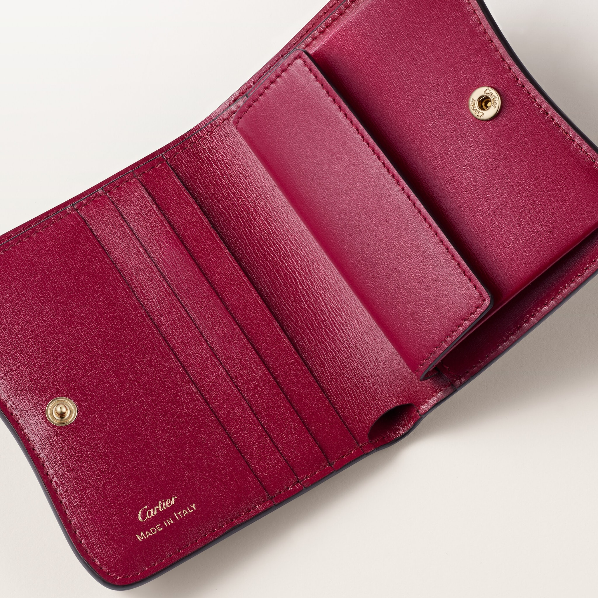 C&uuml;zdan, Panther C