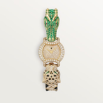 Indomptables de Cartier Watch Indomptables de Cartier Watch