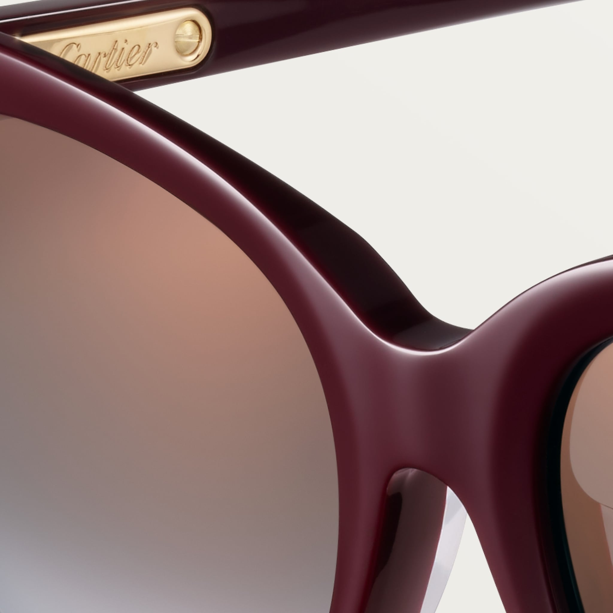 C 드 까르띠에 선글라스, 이미지 8