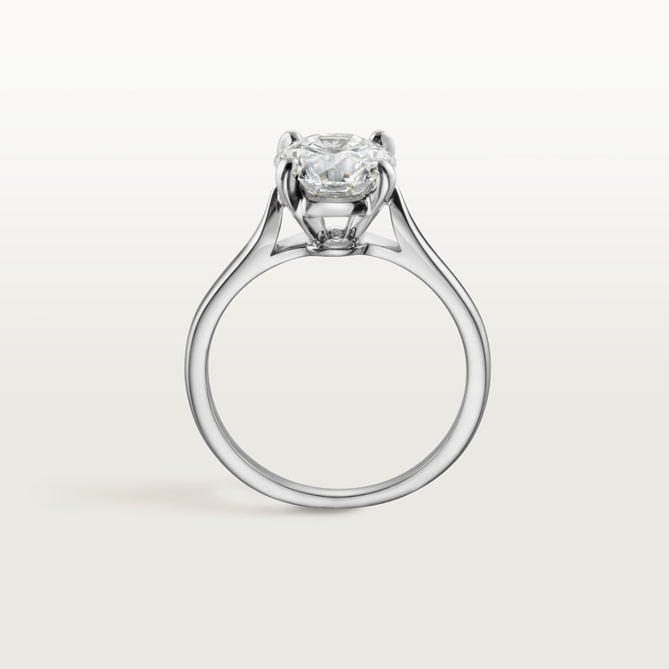 Cartier 2025 1895 setting