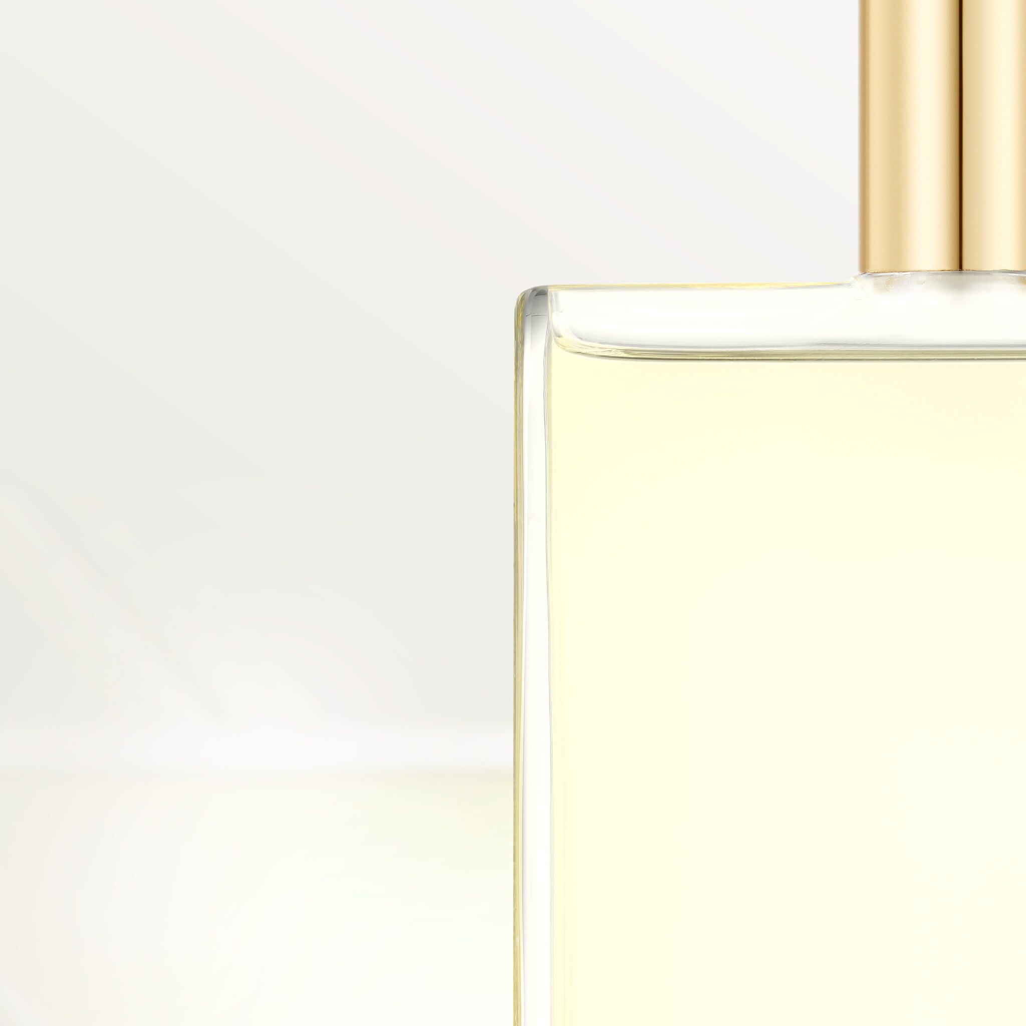 Les N&eacute;cessaires &agrave; Parfum Refills Rivi&egrave;res de Cartier Luxuriance, image 2