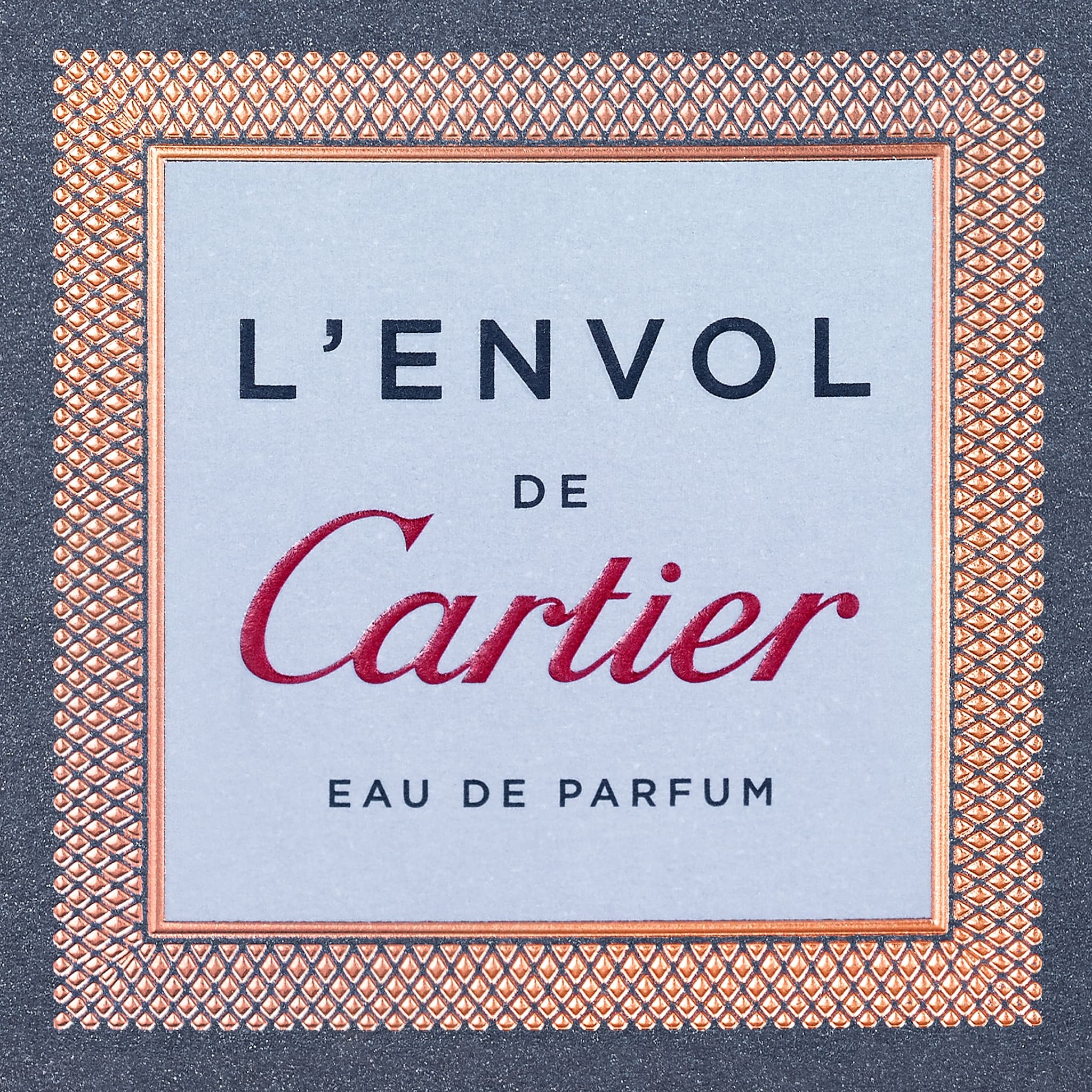 L'Envol de Cartier, image 7