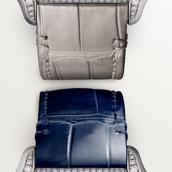 Santos de Cartier watch Santos de Cartier watch