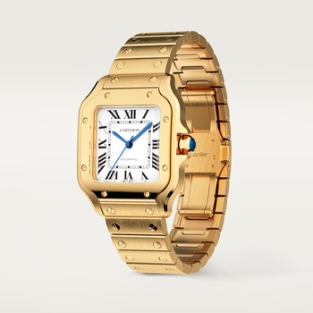 Santos de Cartier watch Santos de Cartier watch