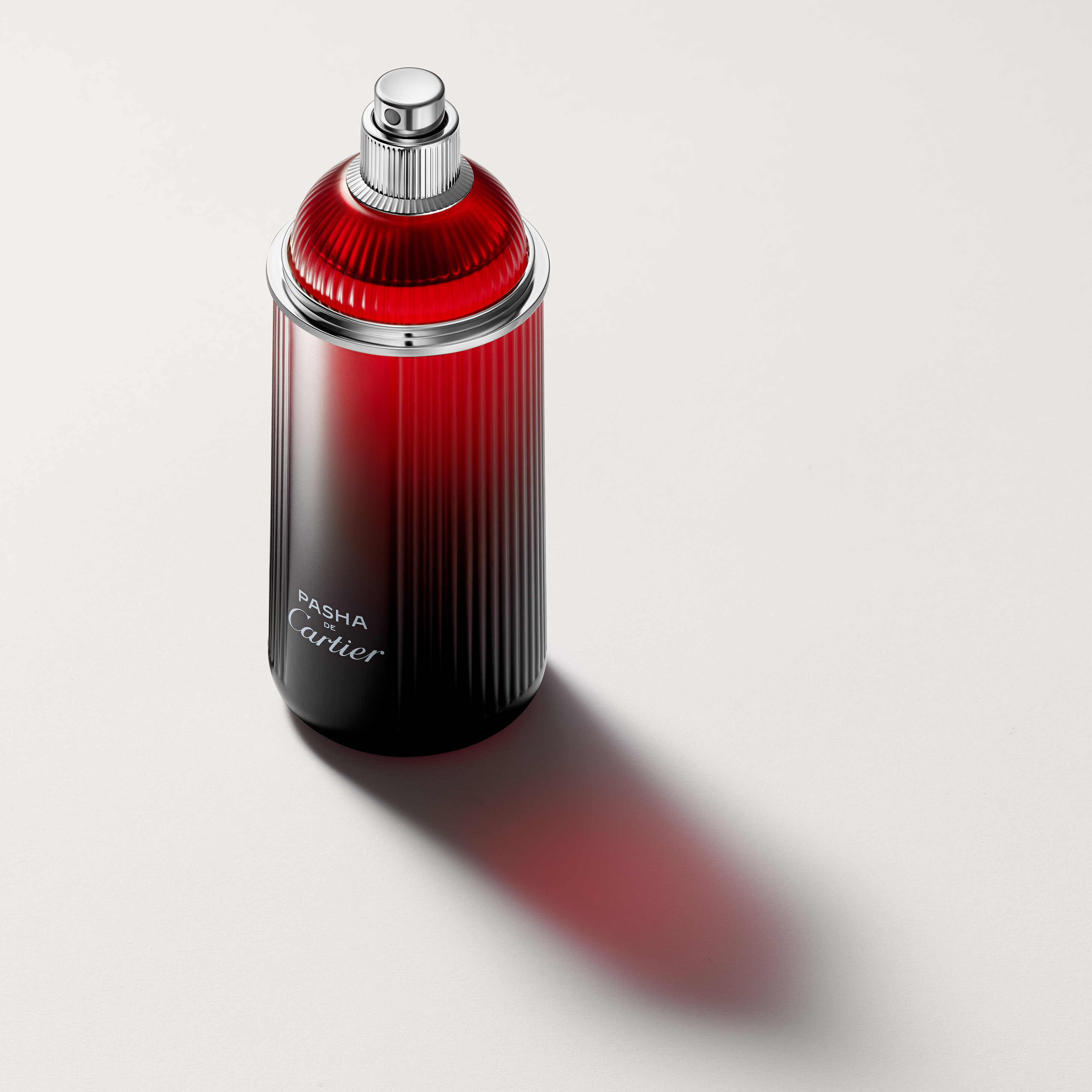 Pasha de Cartier Édition Noire Sport 7f73e4016ce05fa2b5f74c0dd9ee94