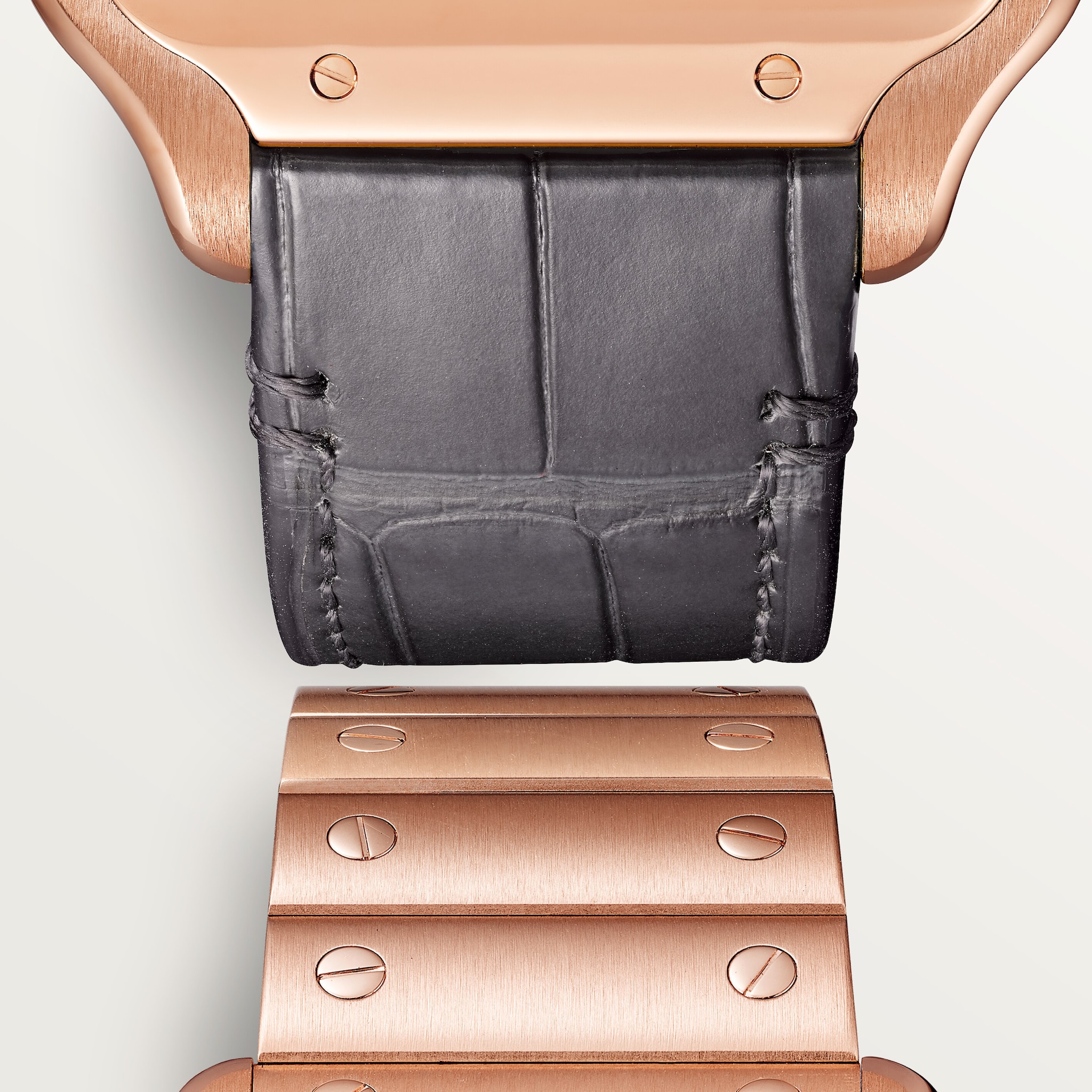 Santos de Cartier iskelet saat