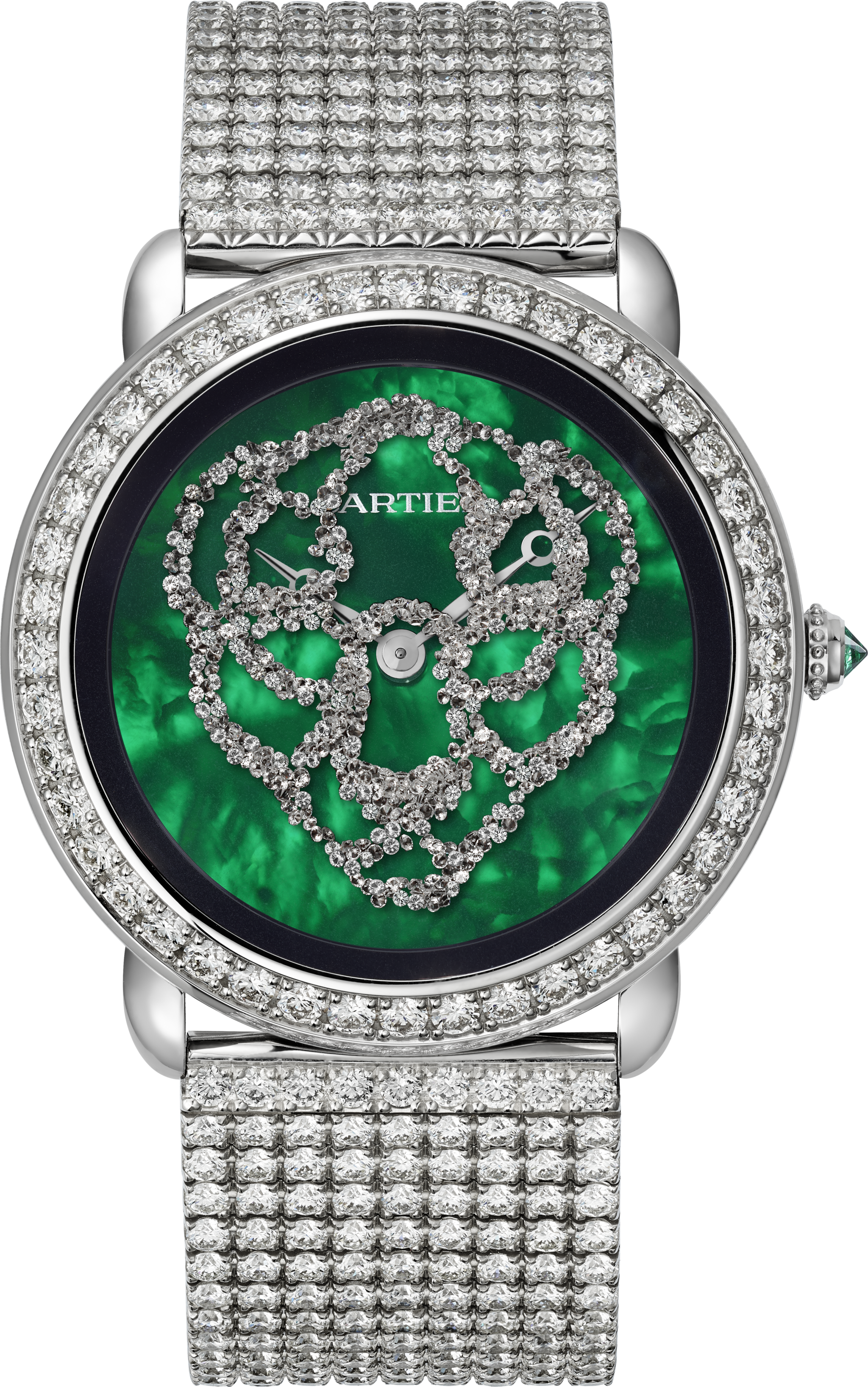 R&eacute;v&eacute;lation d'une Panth&egrave;re watch