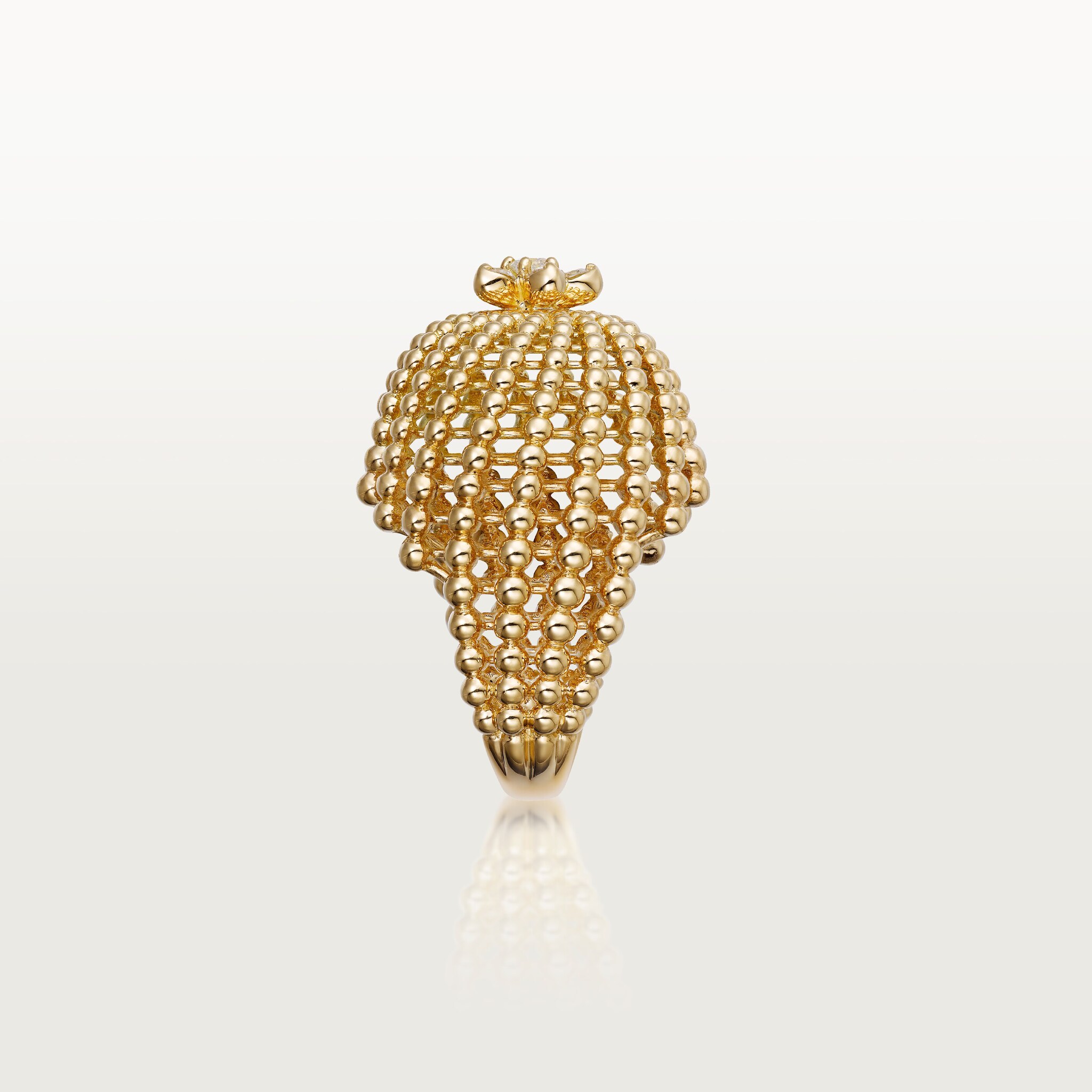 칵투스 드 까르띠에 링, 이미지 7