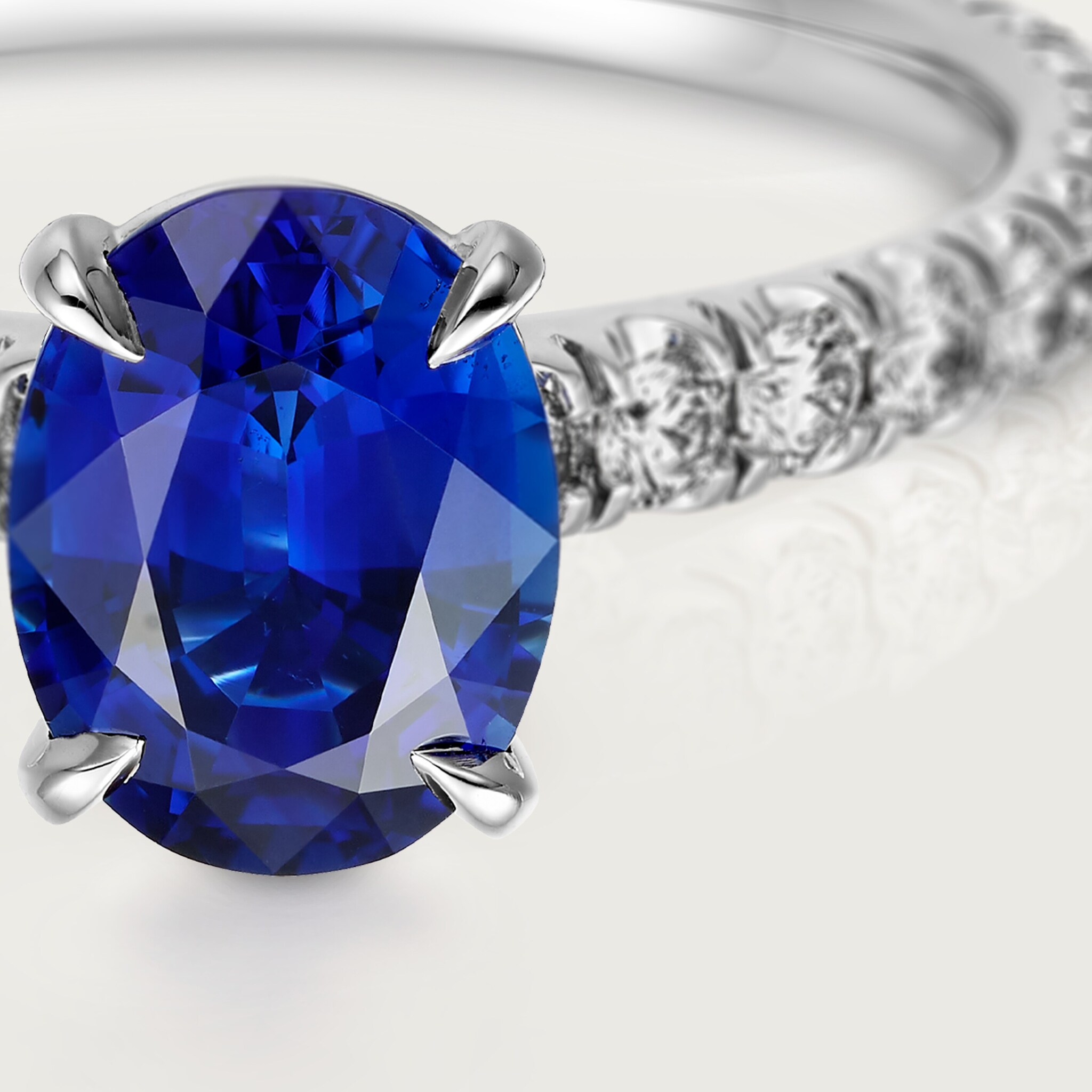 1895 solitaire, oval-cut sapphire, paved , image 7