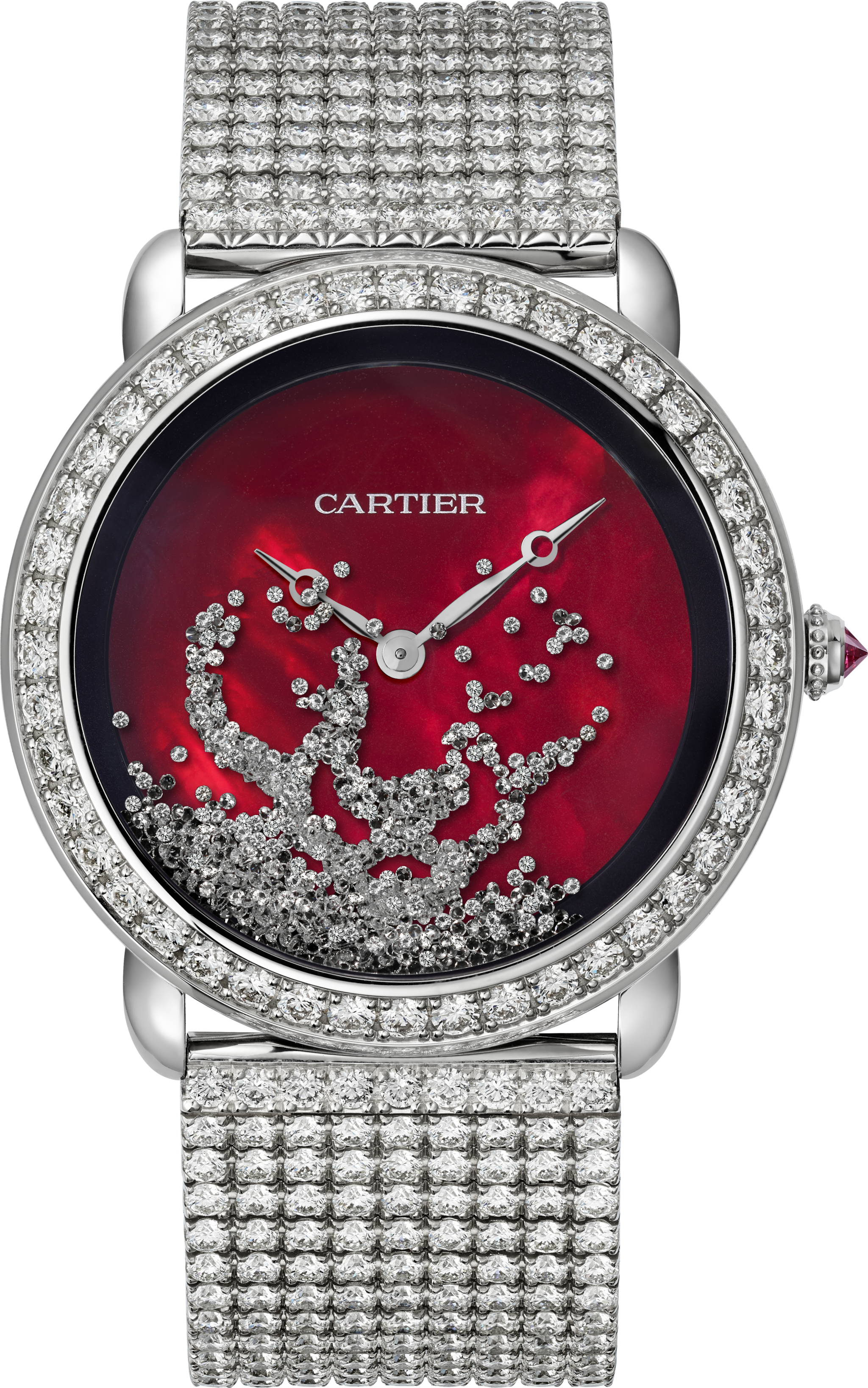 R&eacute;v&eacute;lation d'une Panth&egrave;re watch