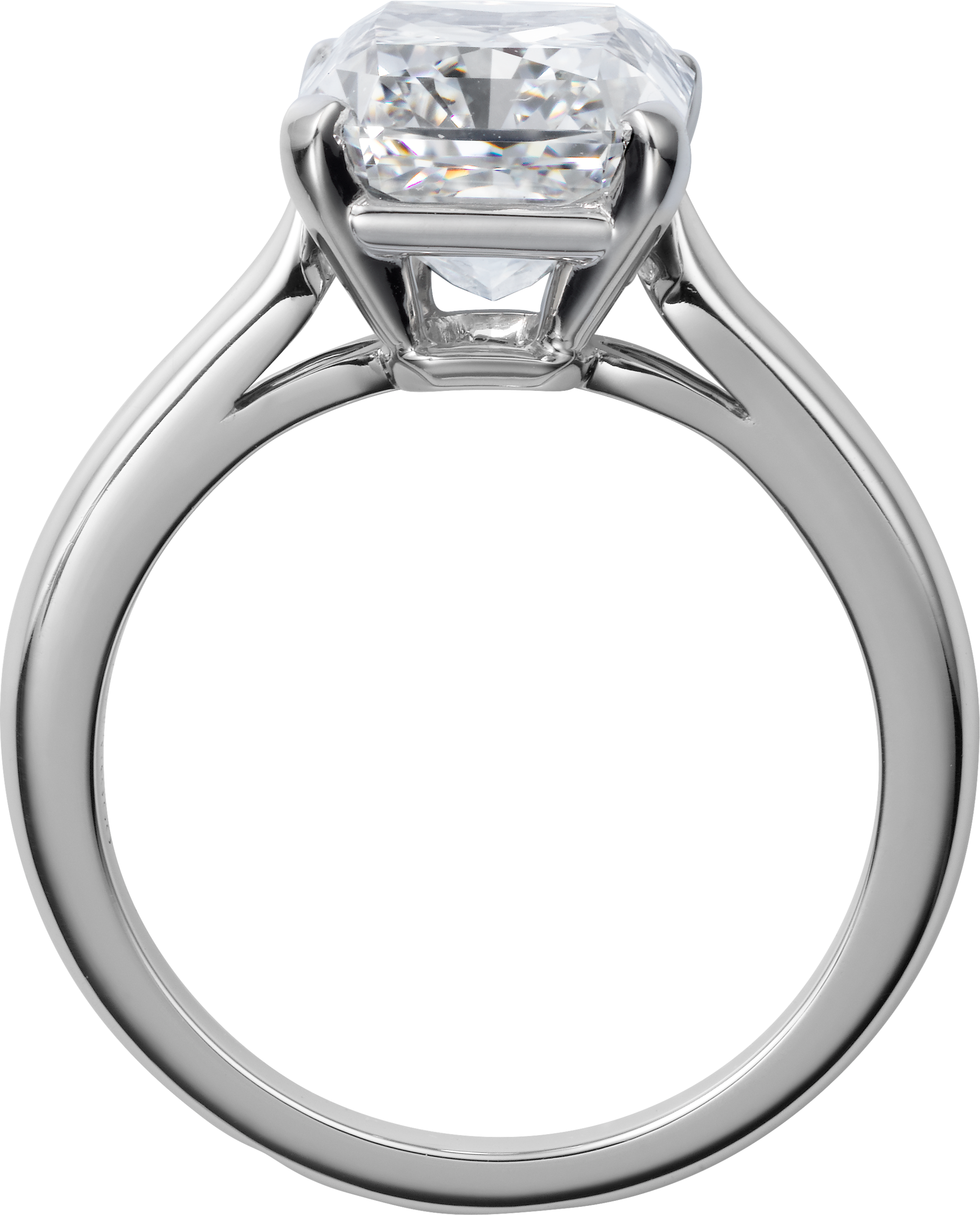 하이 주얼리 링, 이미지 5